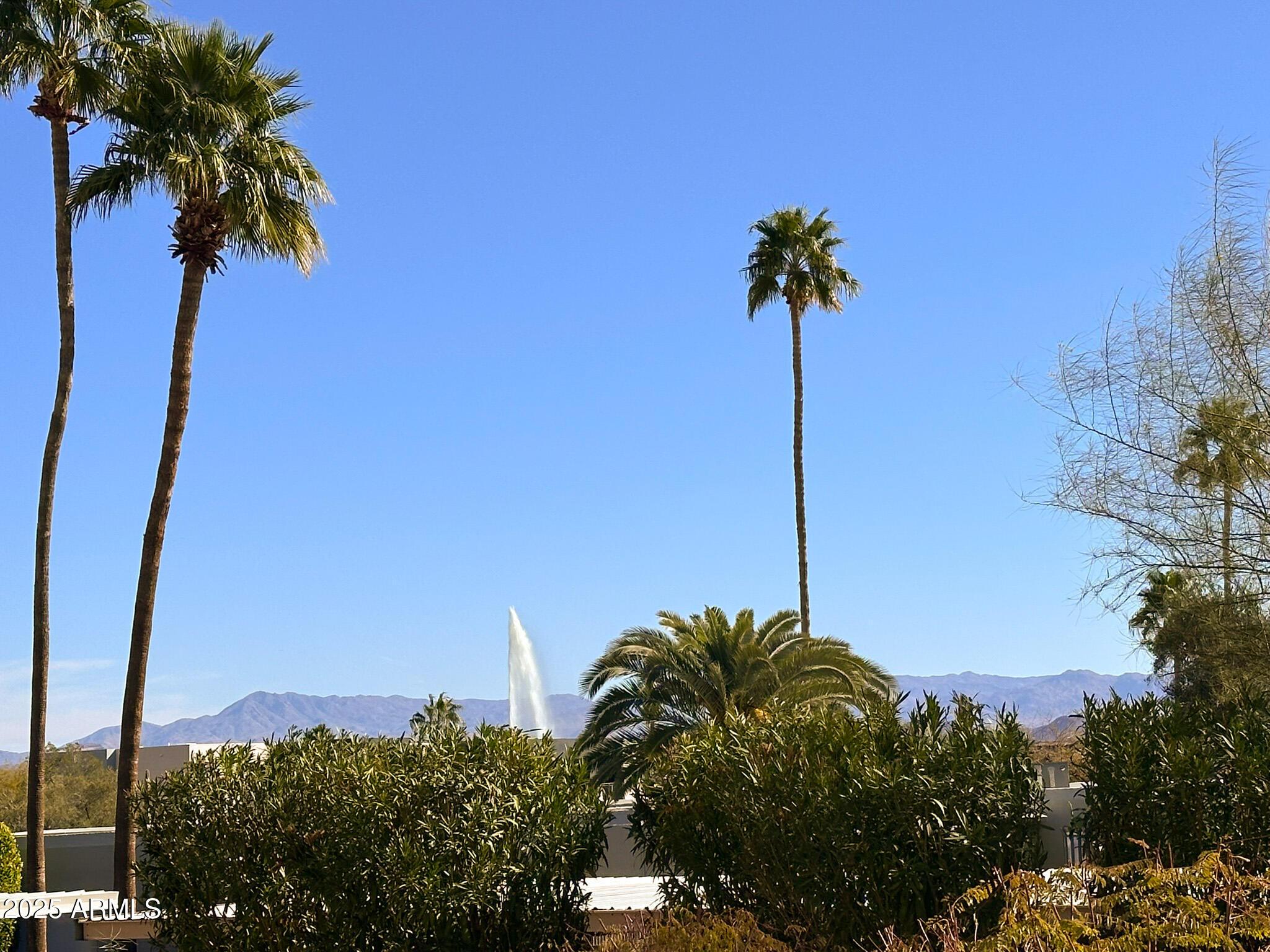 Photo #19
