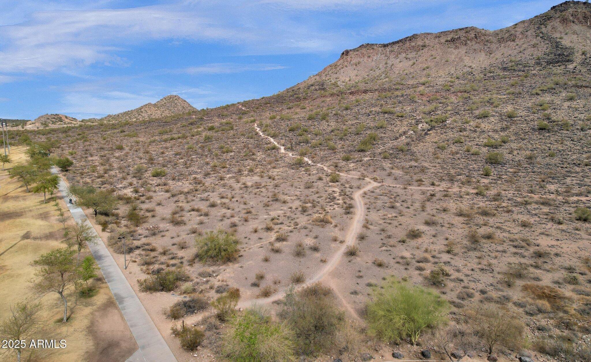 Photo #41