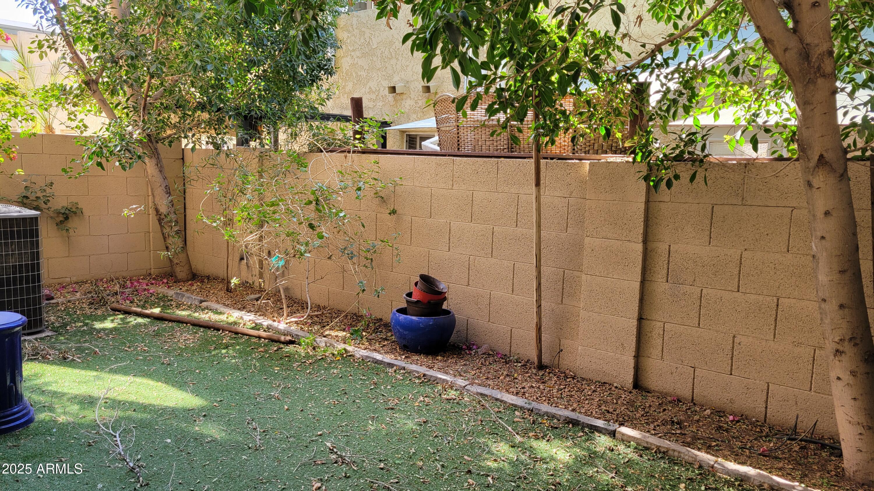 Photo #30
