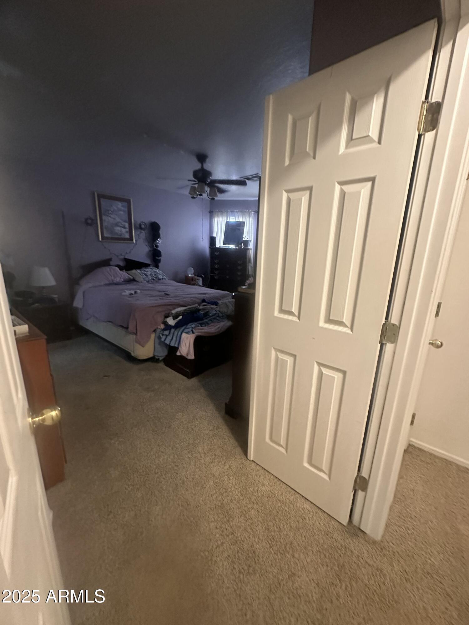 Photo #24