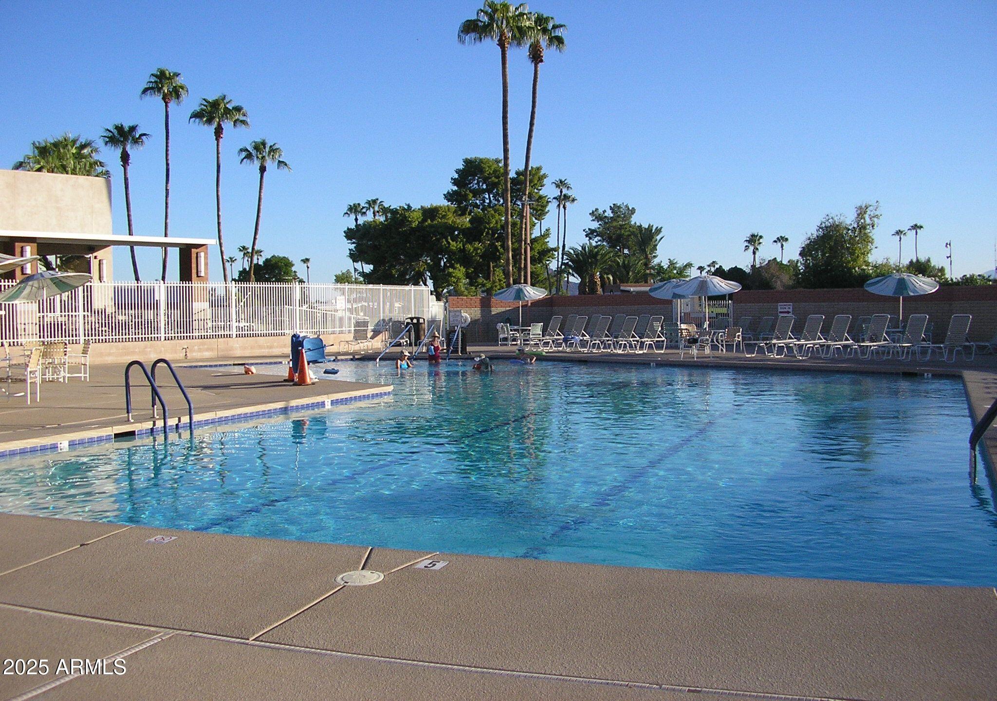 Photo #47