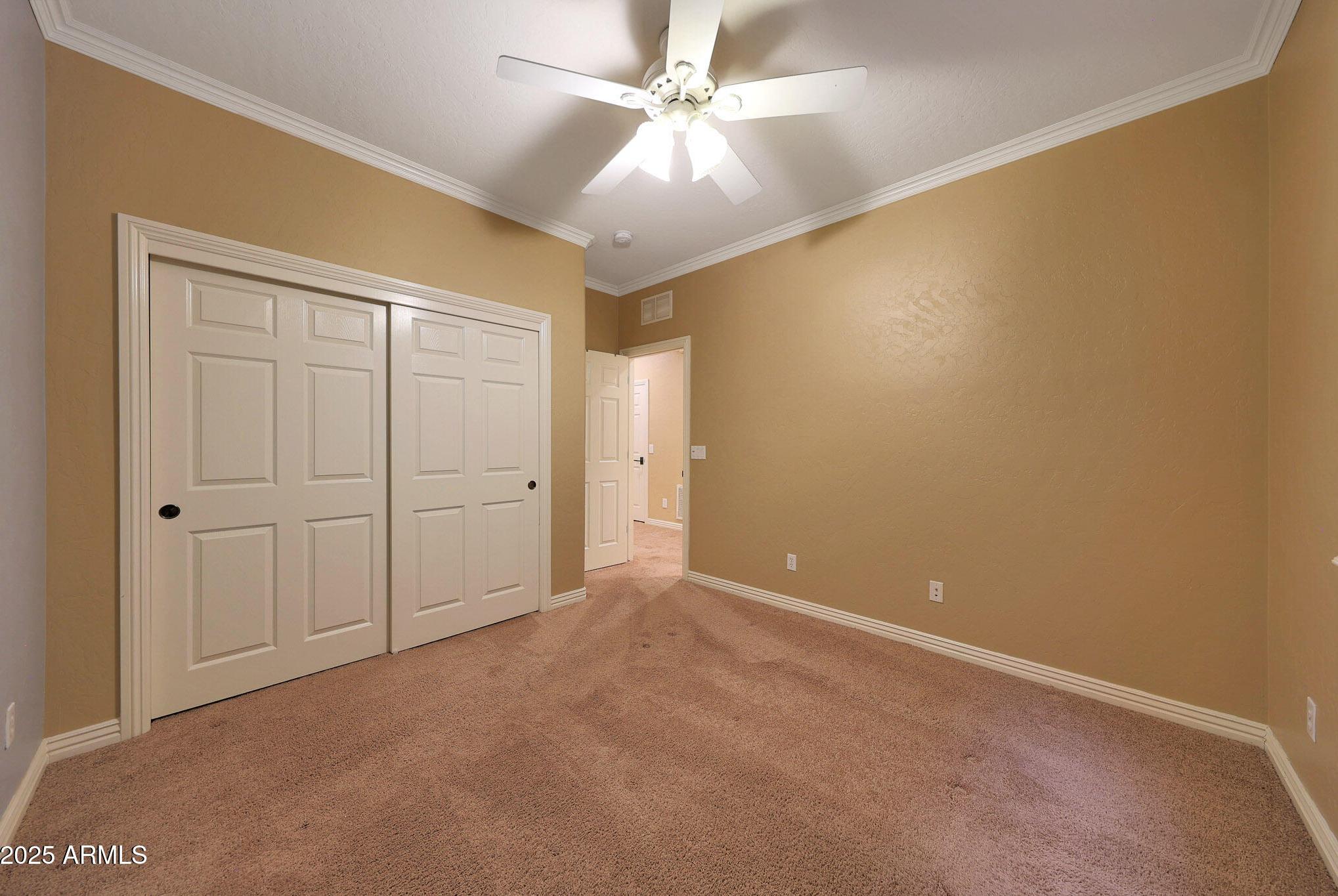Photo #41