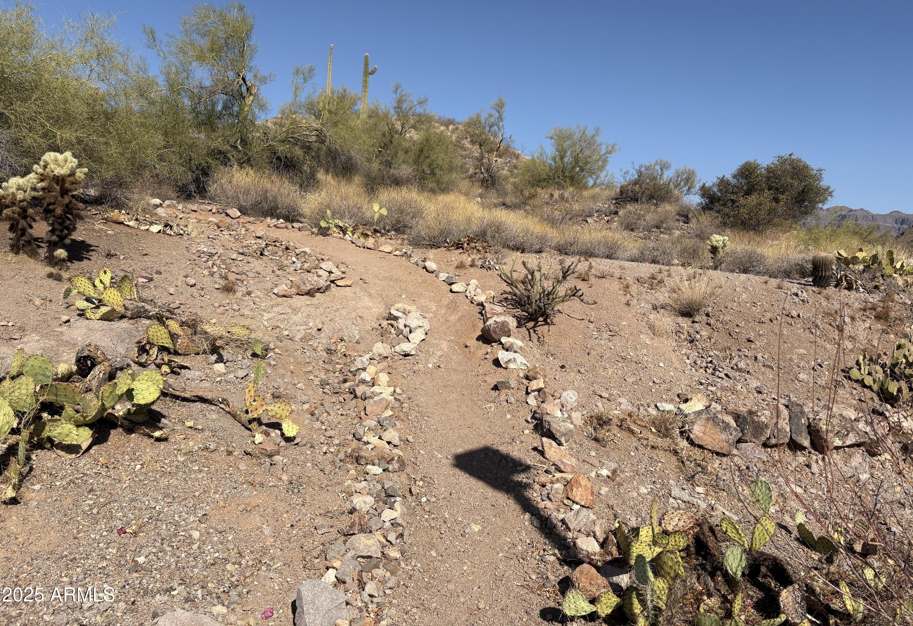 Photo #25
