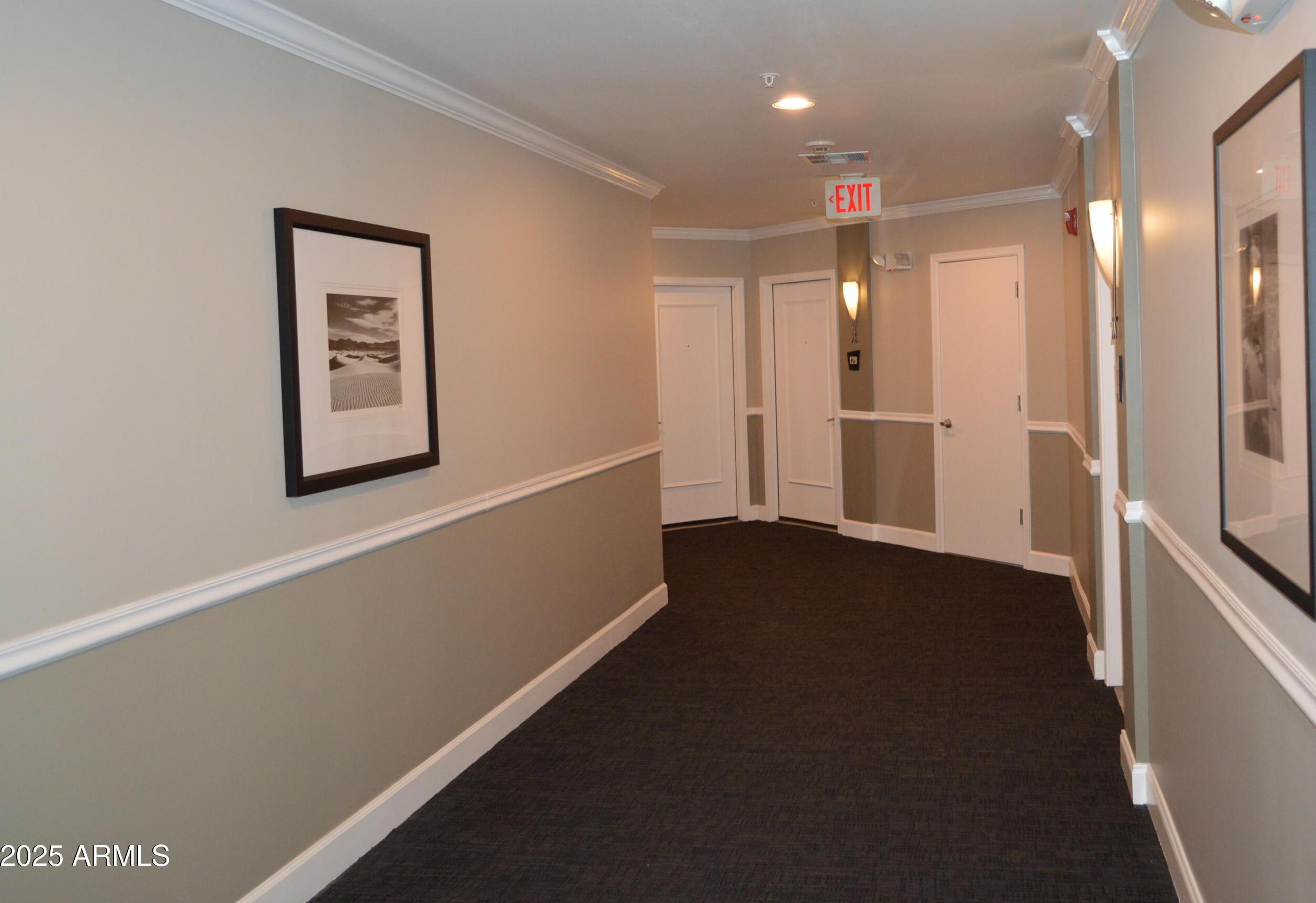 Photo #31