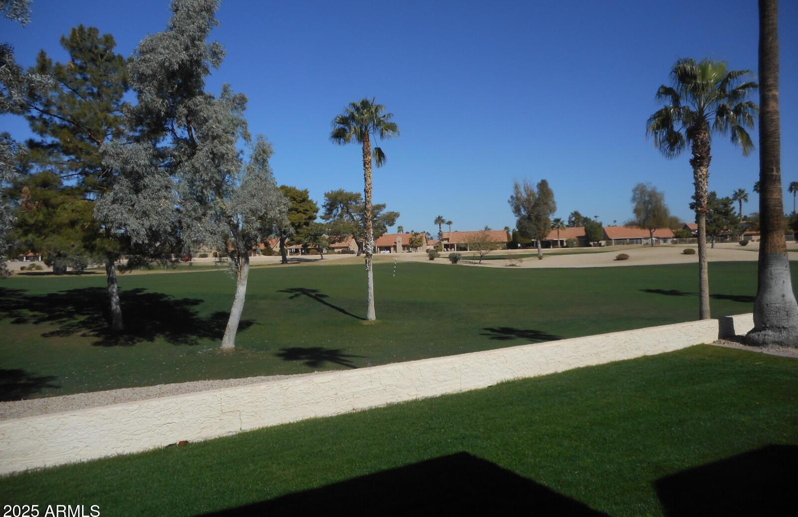 Photo #12