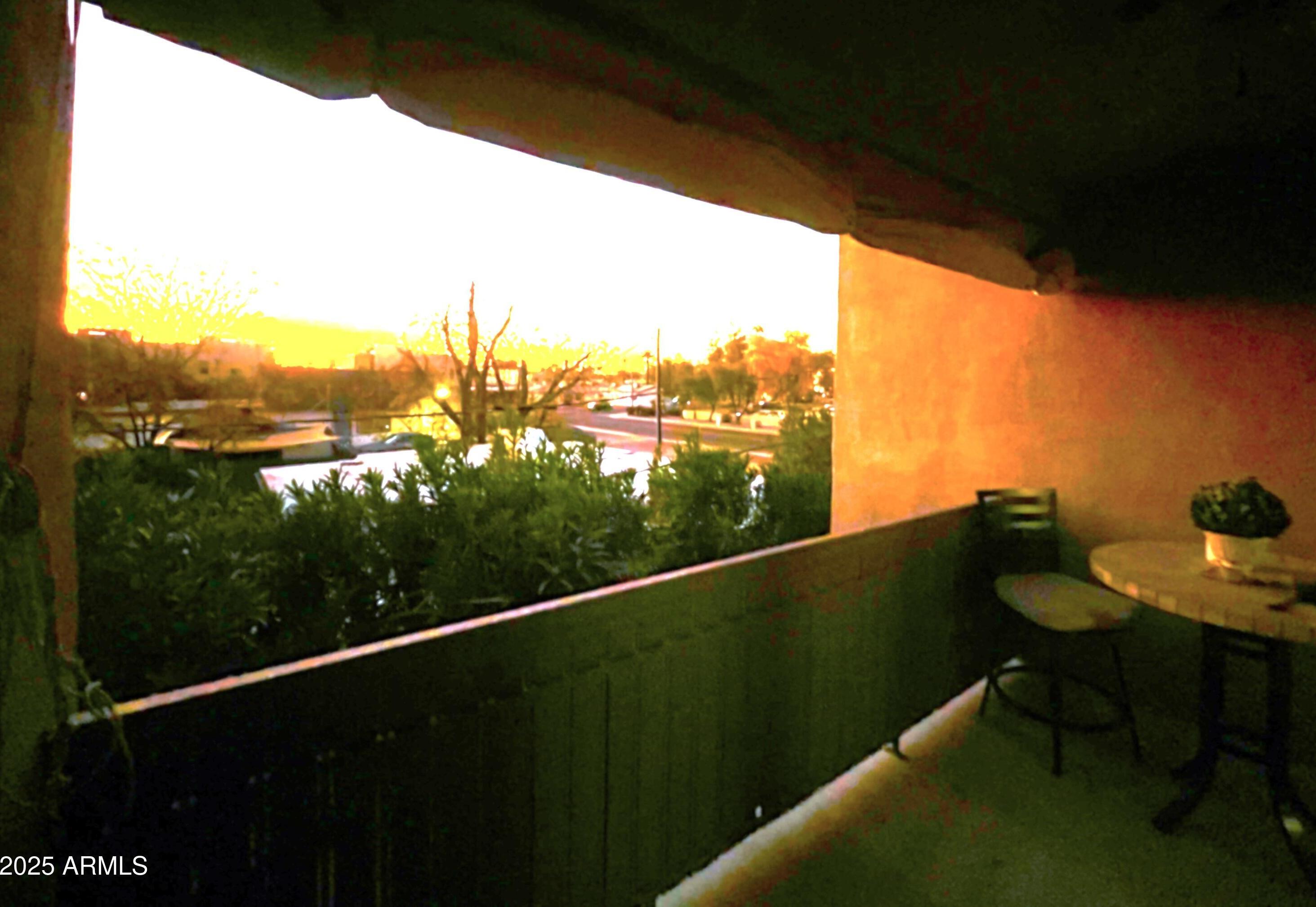 Photo #44