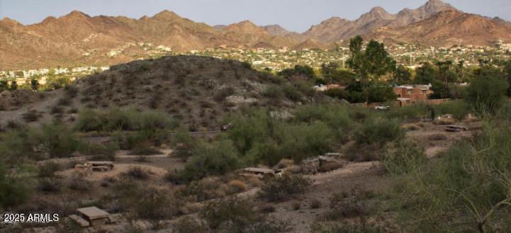 Photo #60