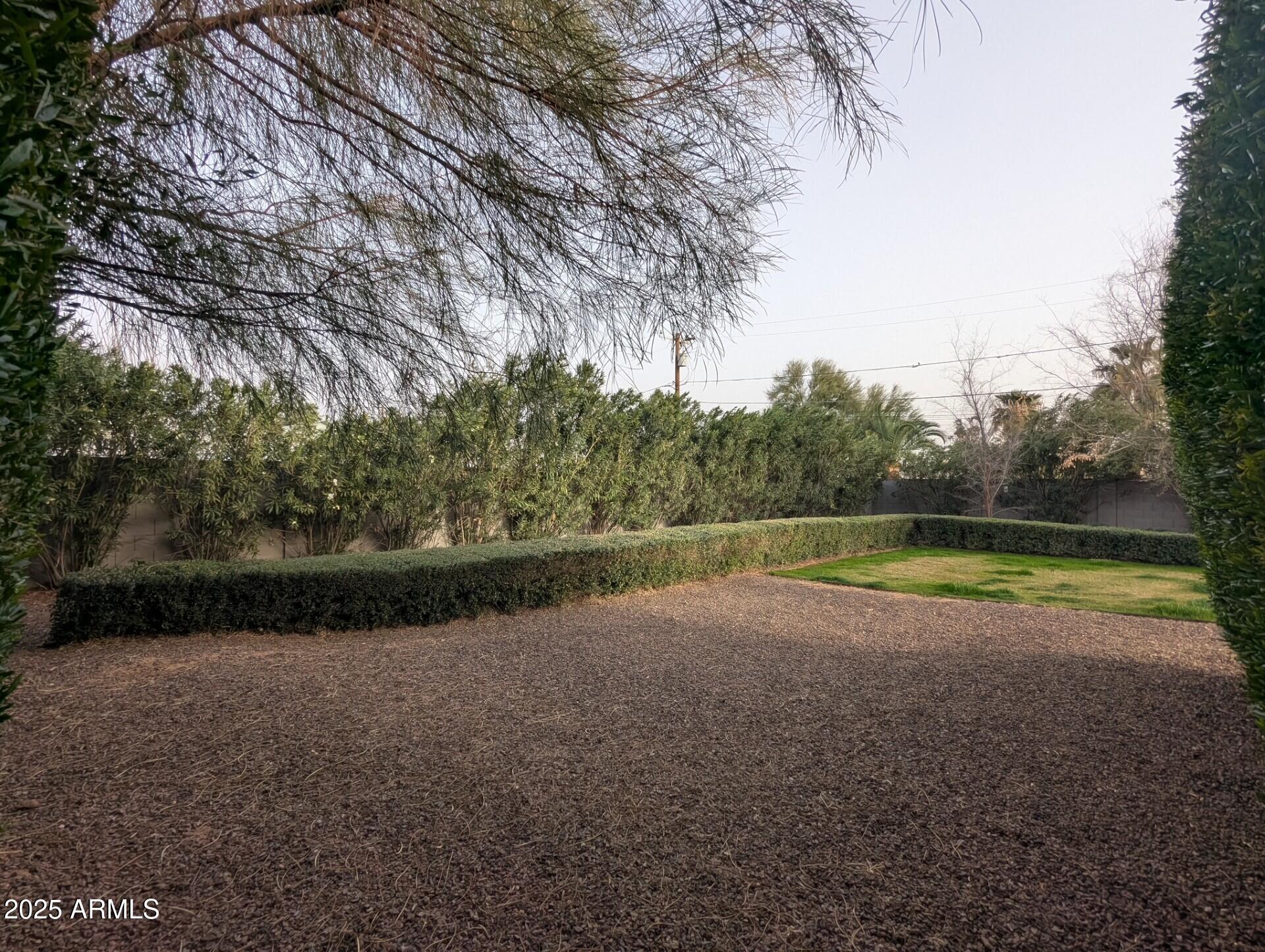 Photo #37