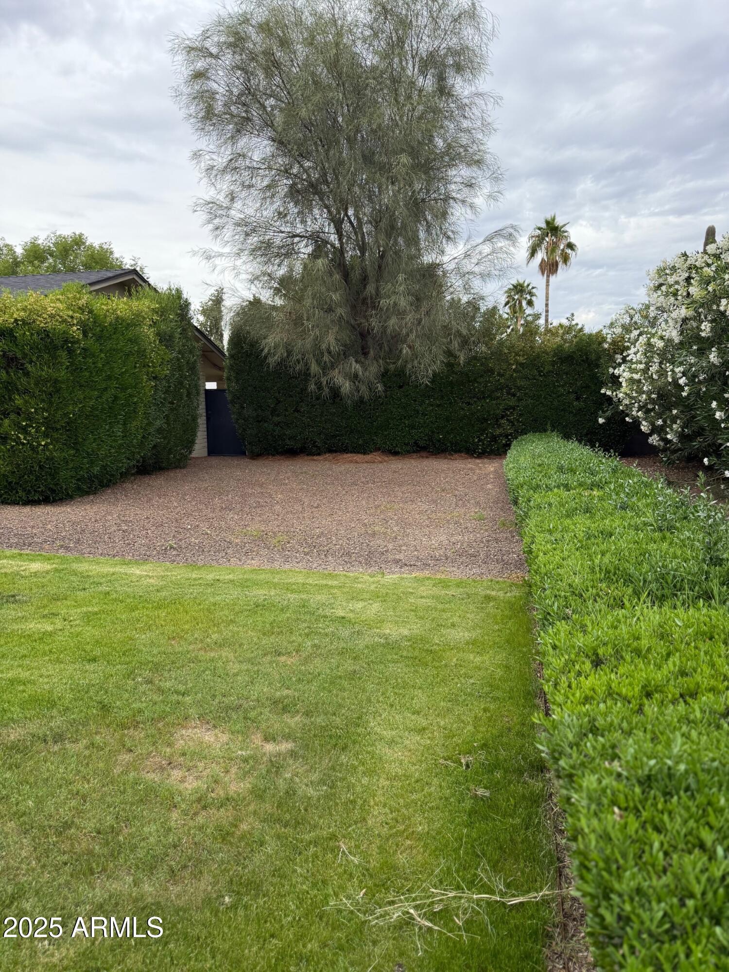 Photo #41