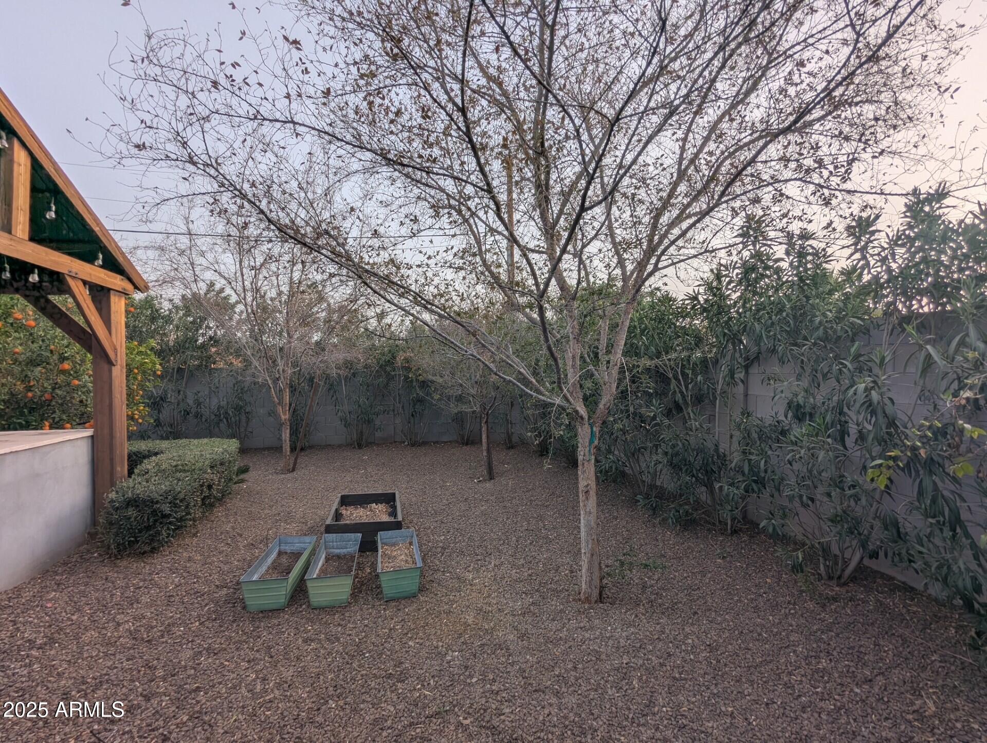 Photo #39