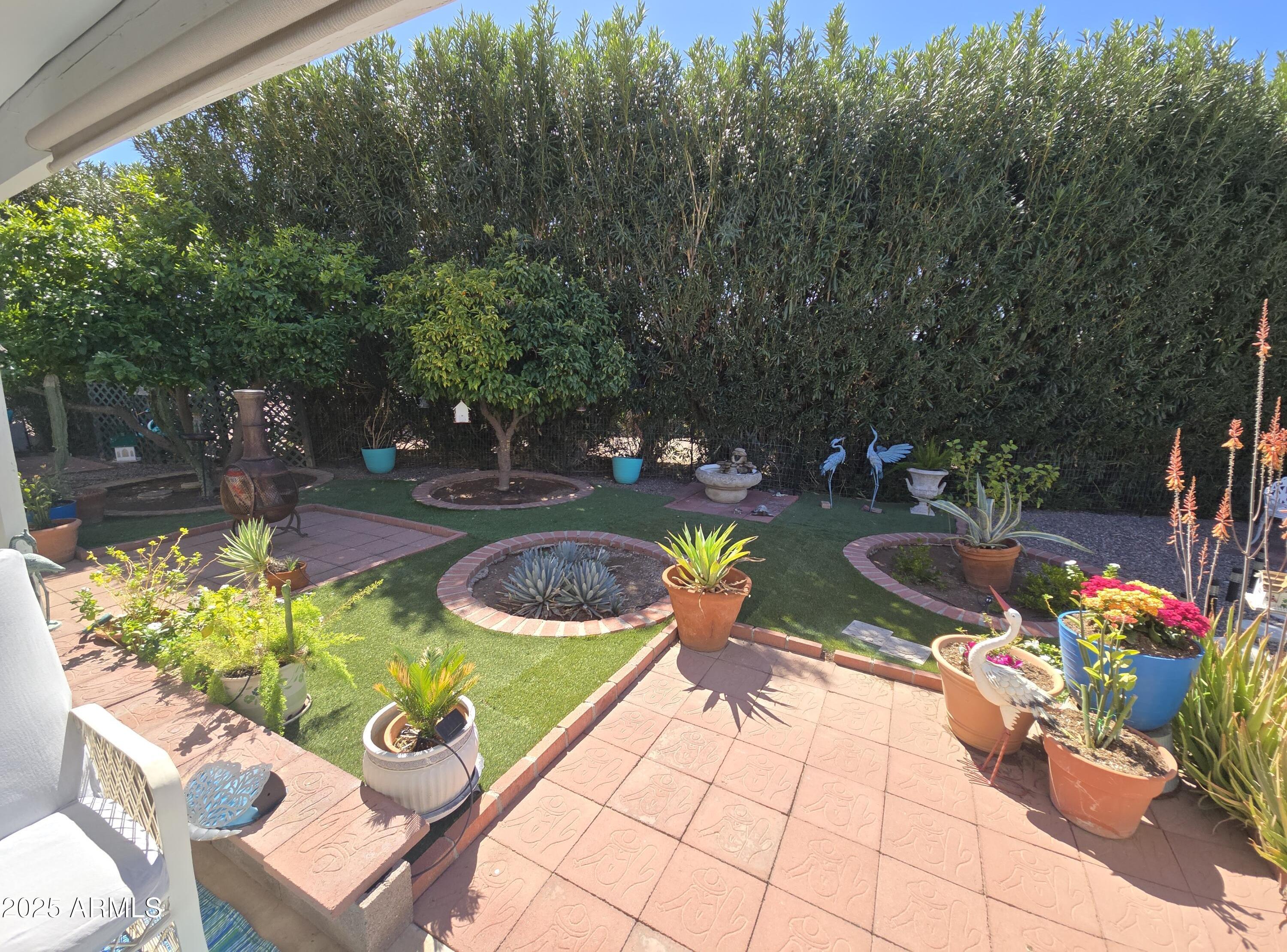Photo #4