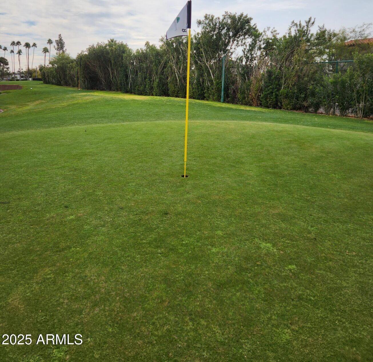 Photo #43