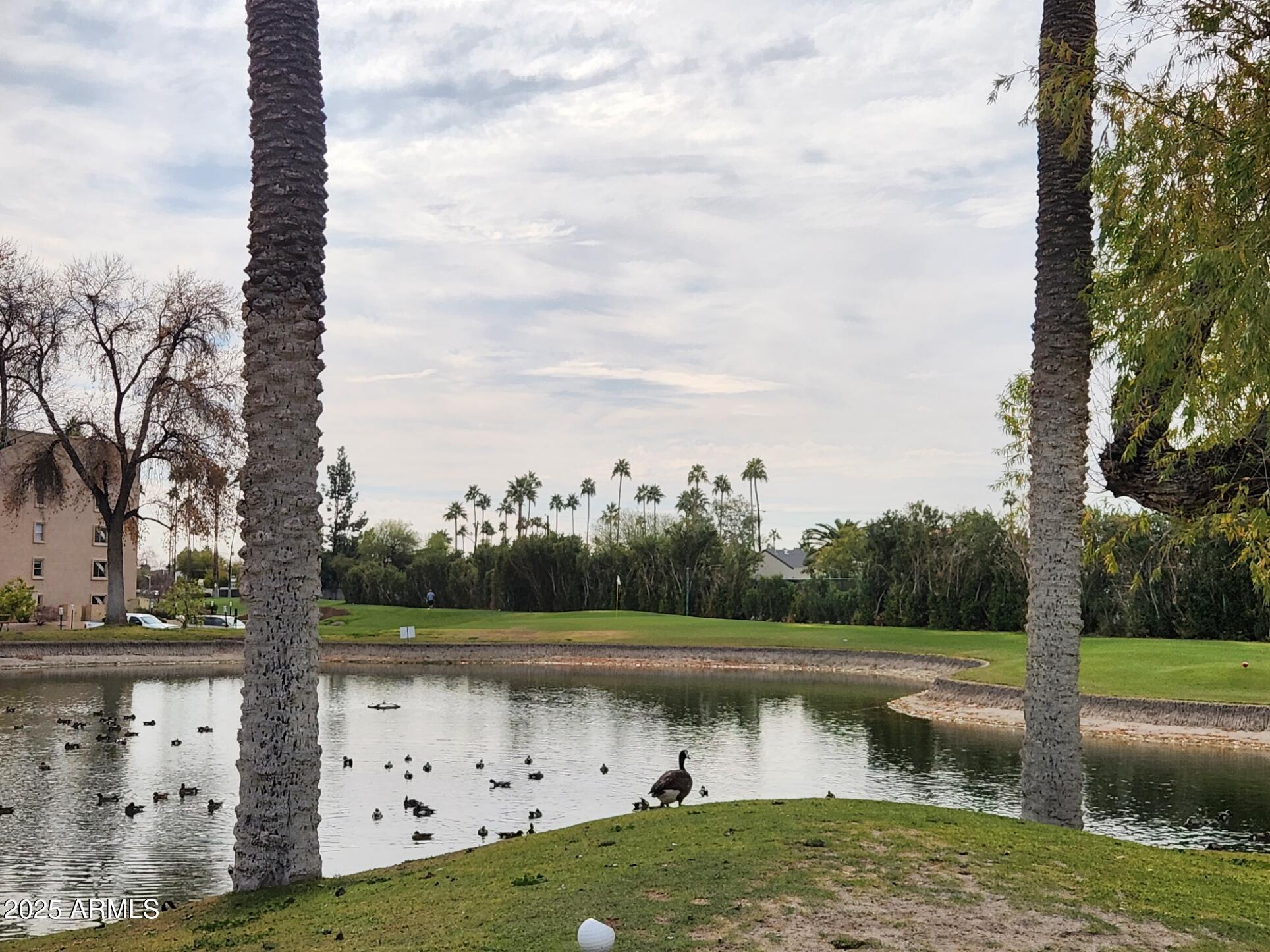 Photo #42