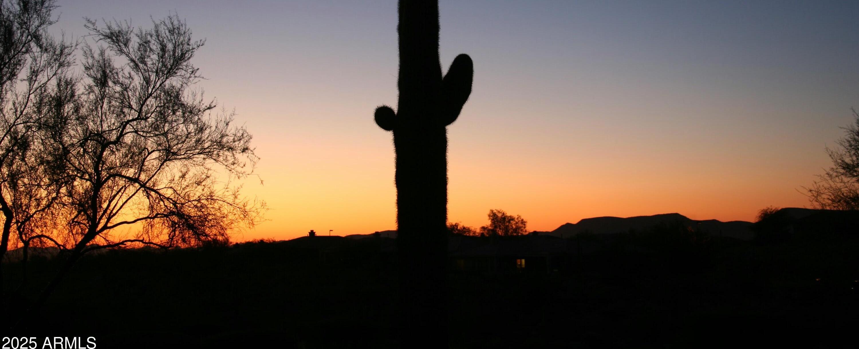 Photo #88
