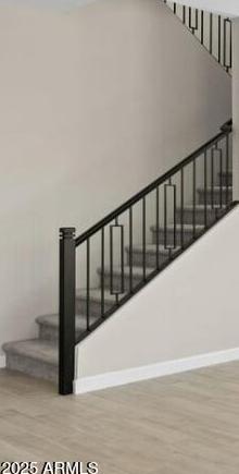 Photo #12