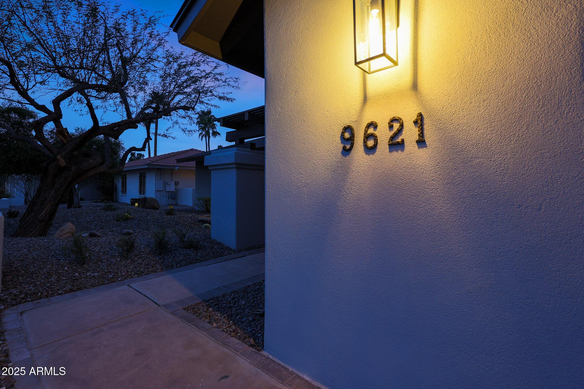 Photo #51