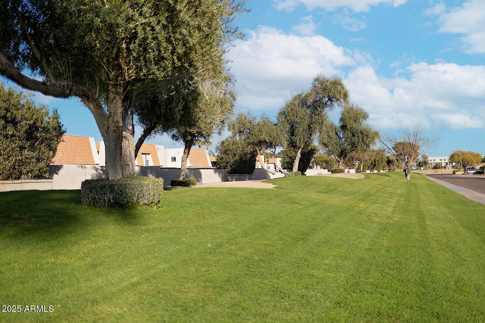 Photo #34