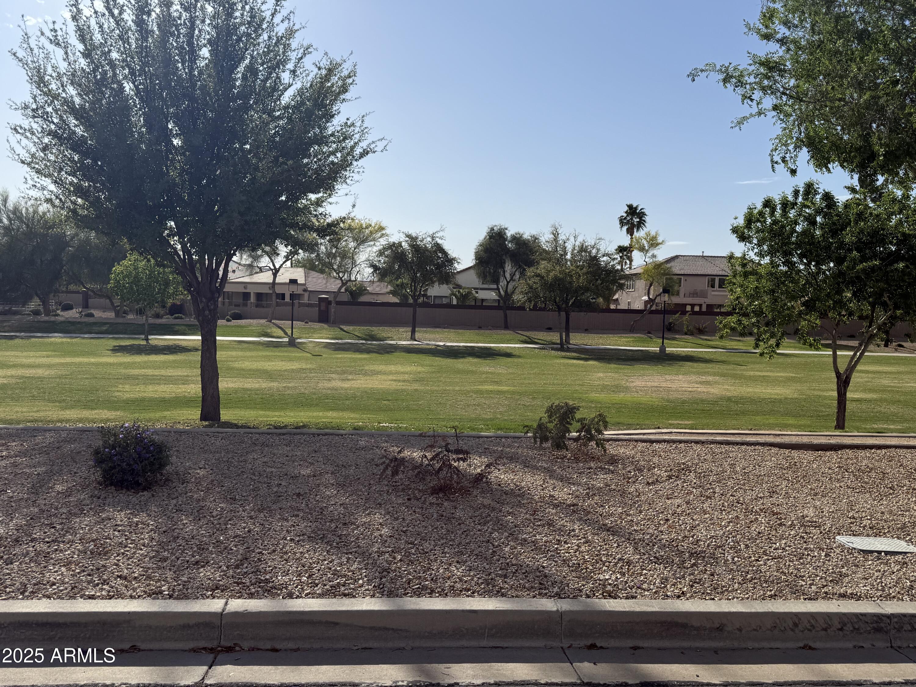 Photo #43