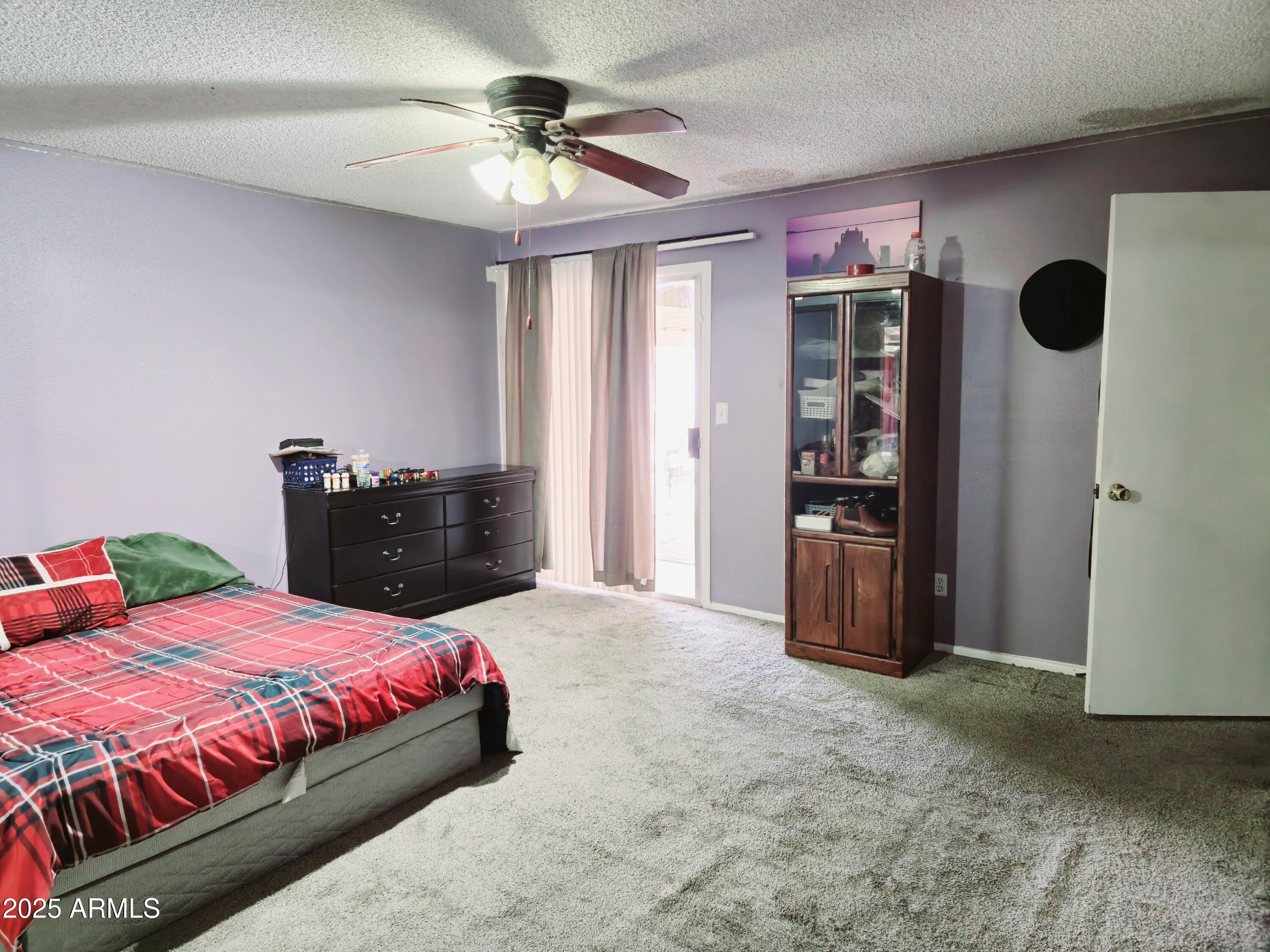Photo #15