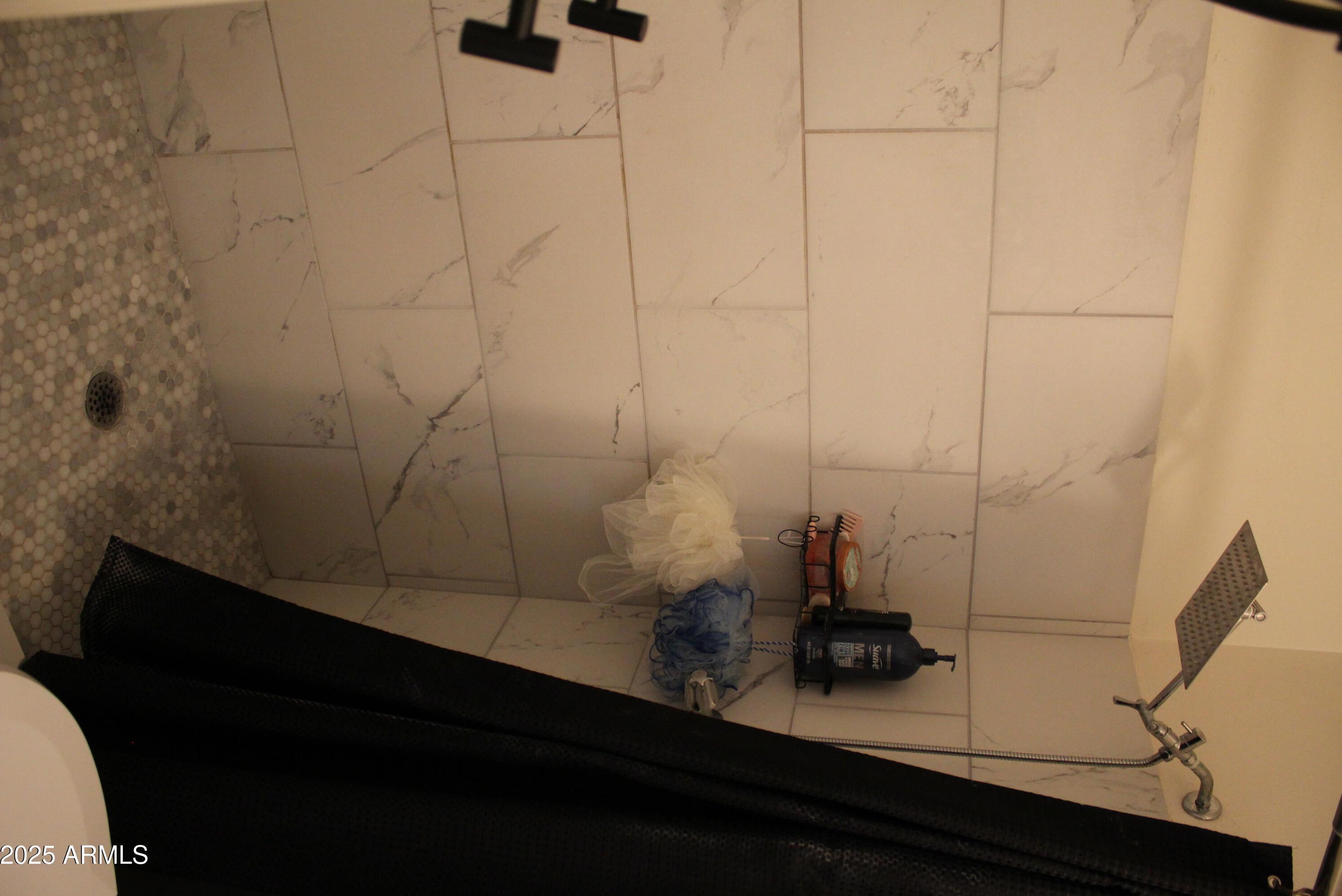 Photo #12