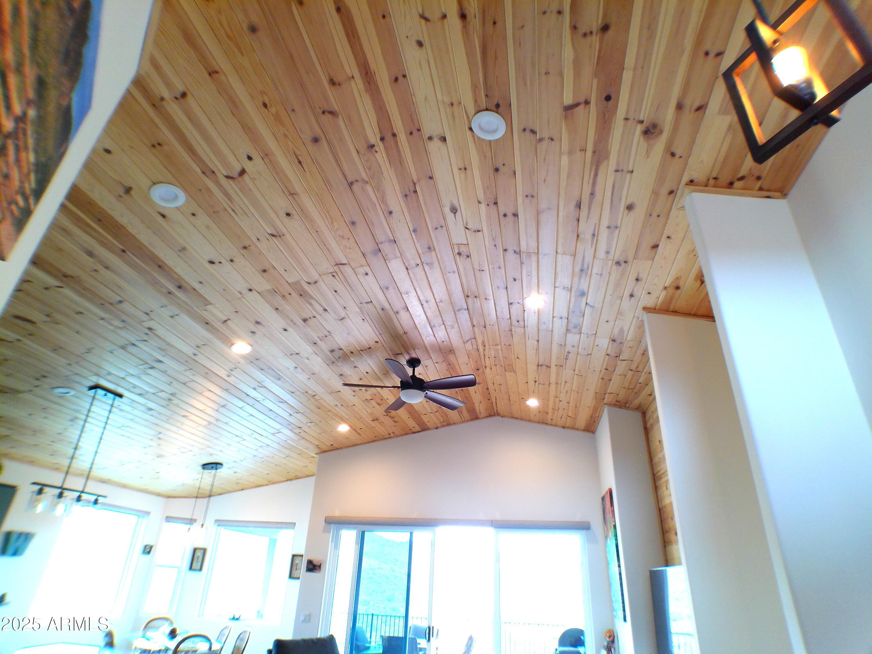 Photo #14