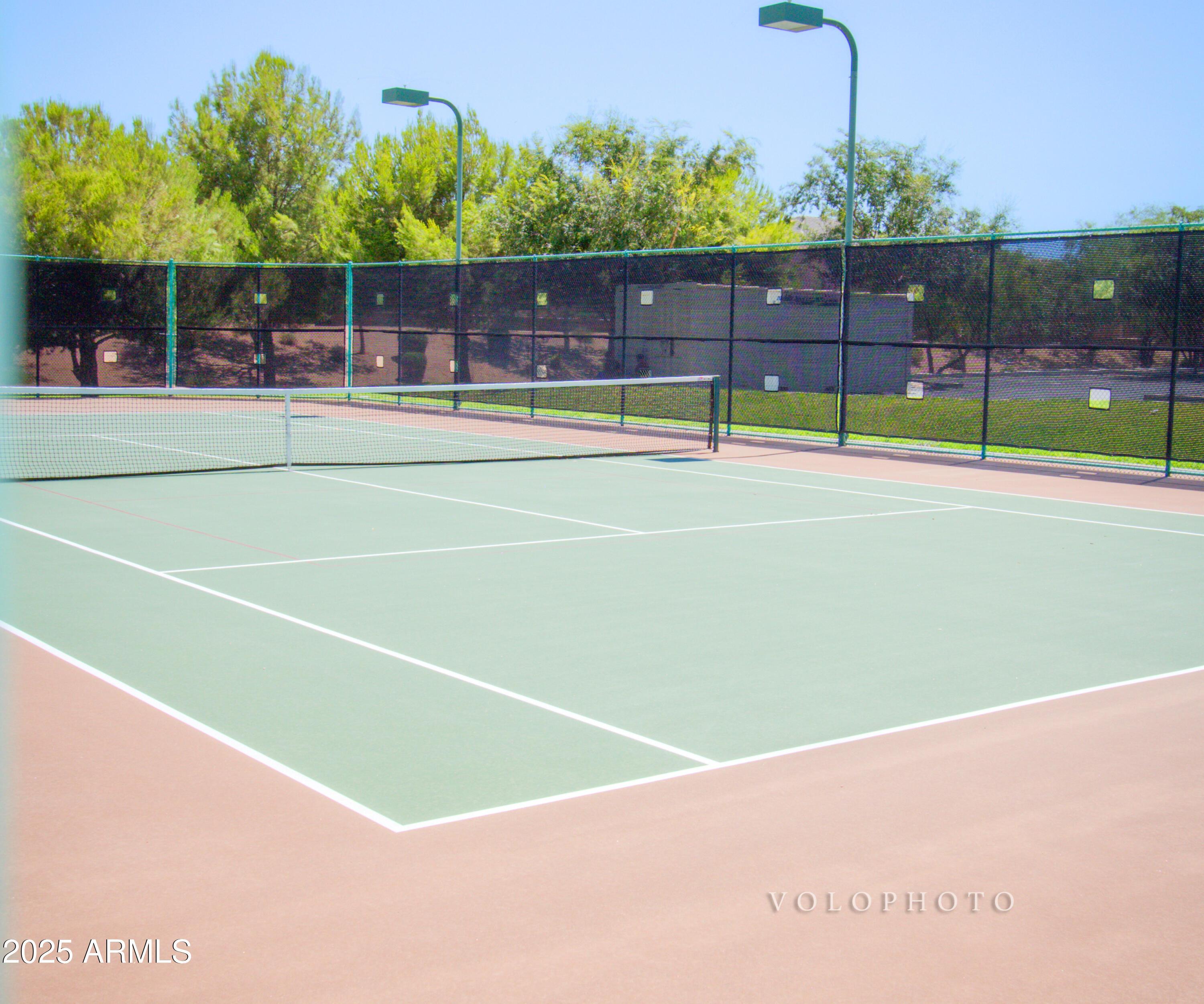 Photo #52
