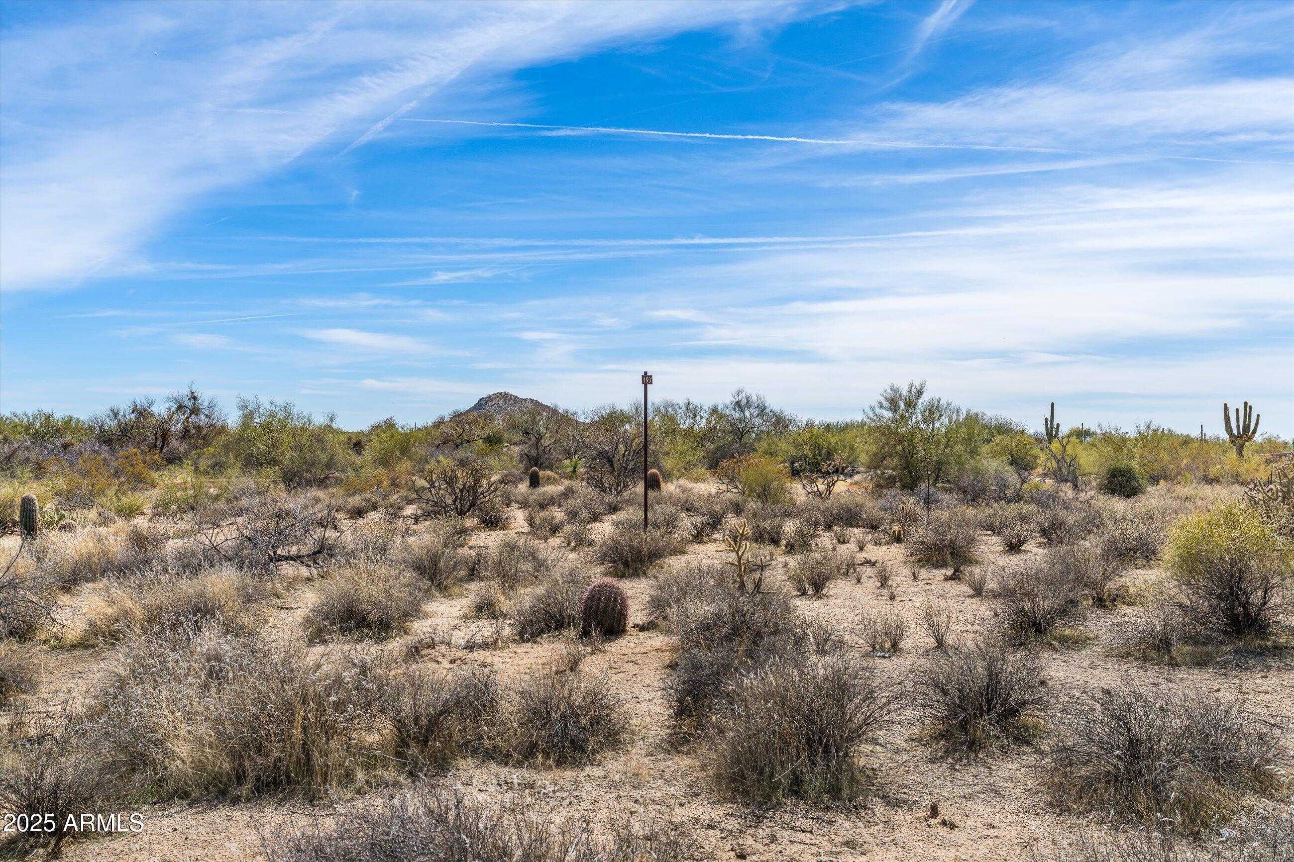 Photo #32