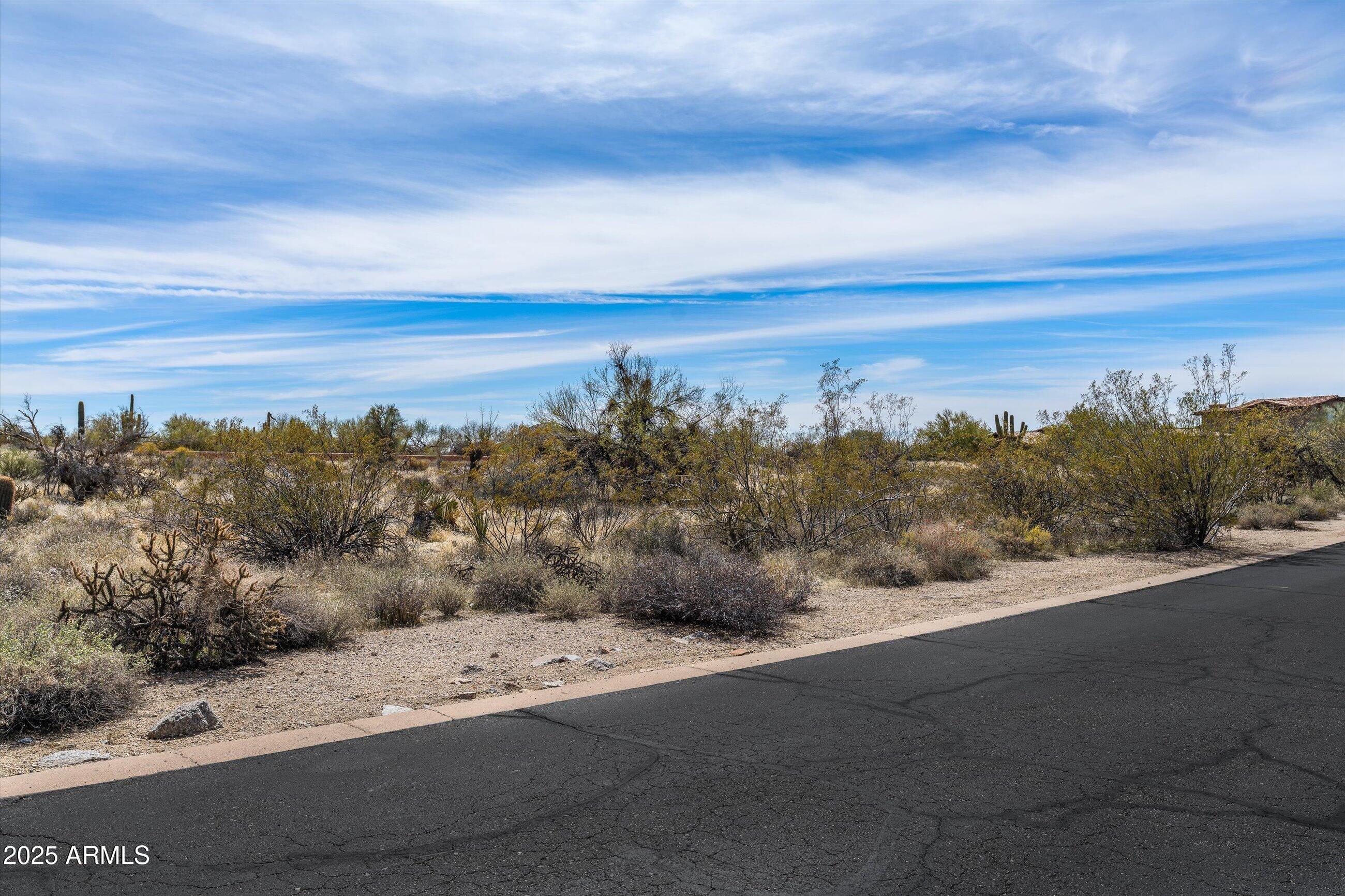 Photo #68