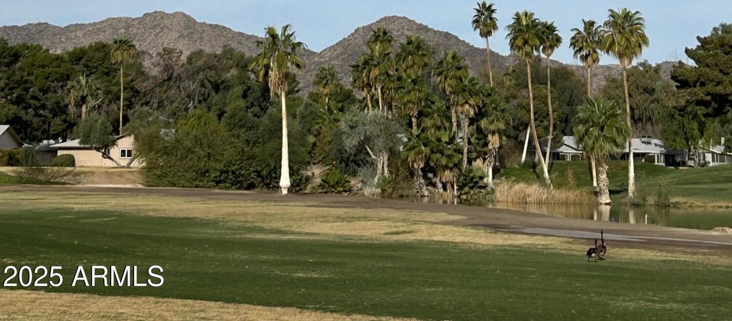 Photo #33