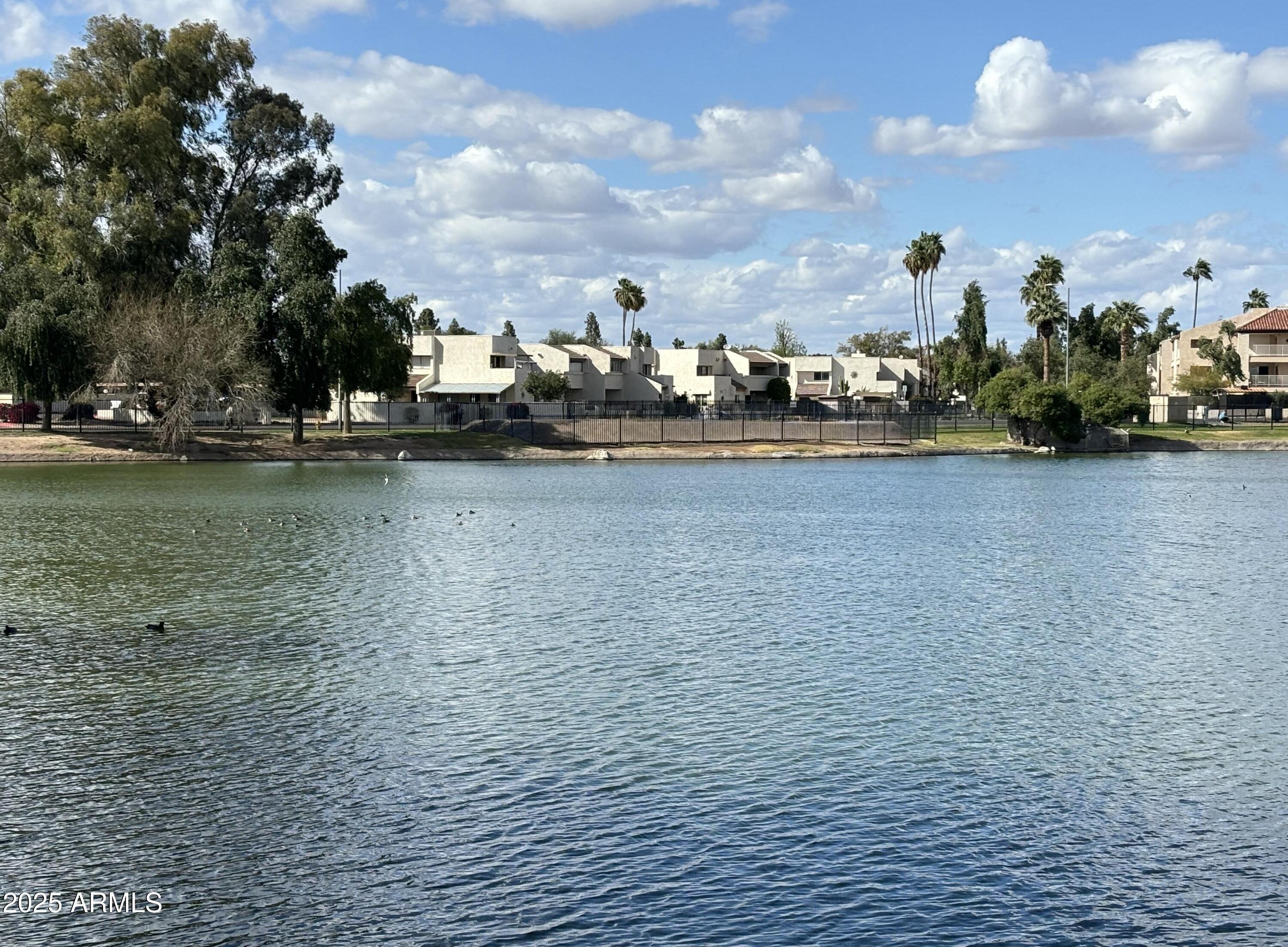 Photo #41