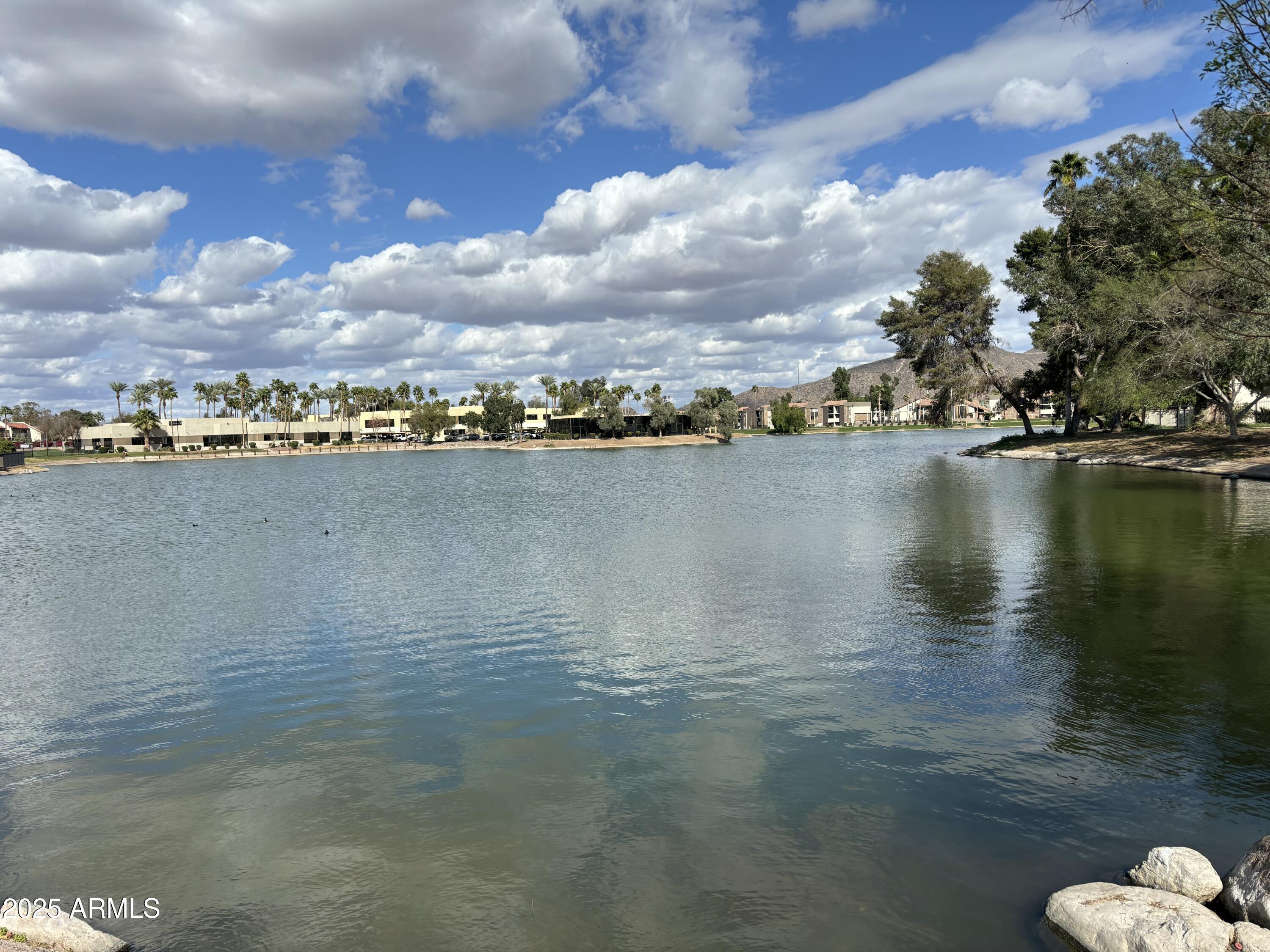 Photo #43