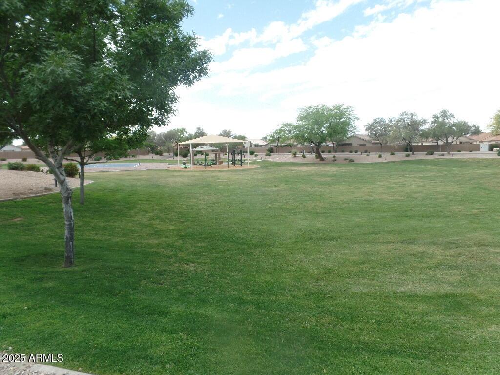 Photo #29