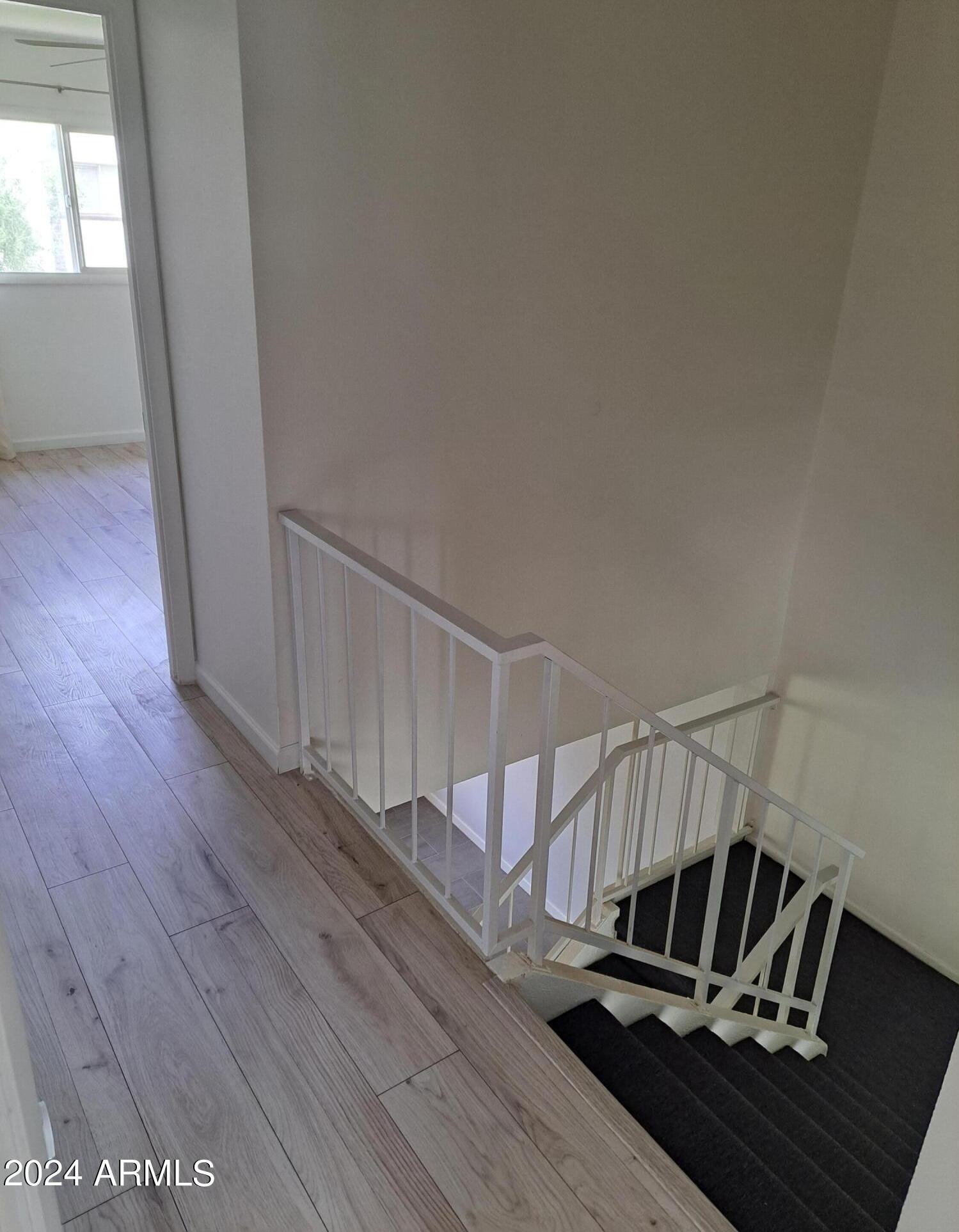 Photo #11
