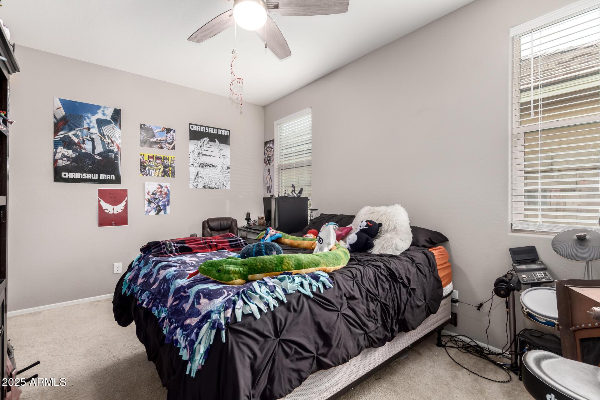Photo #15