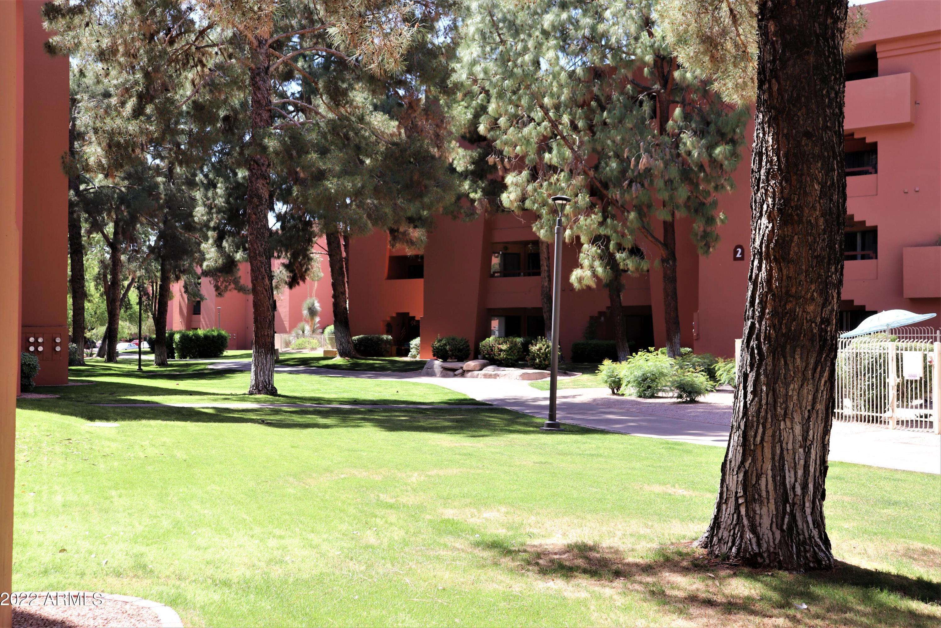 Photo #30