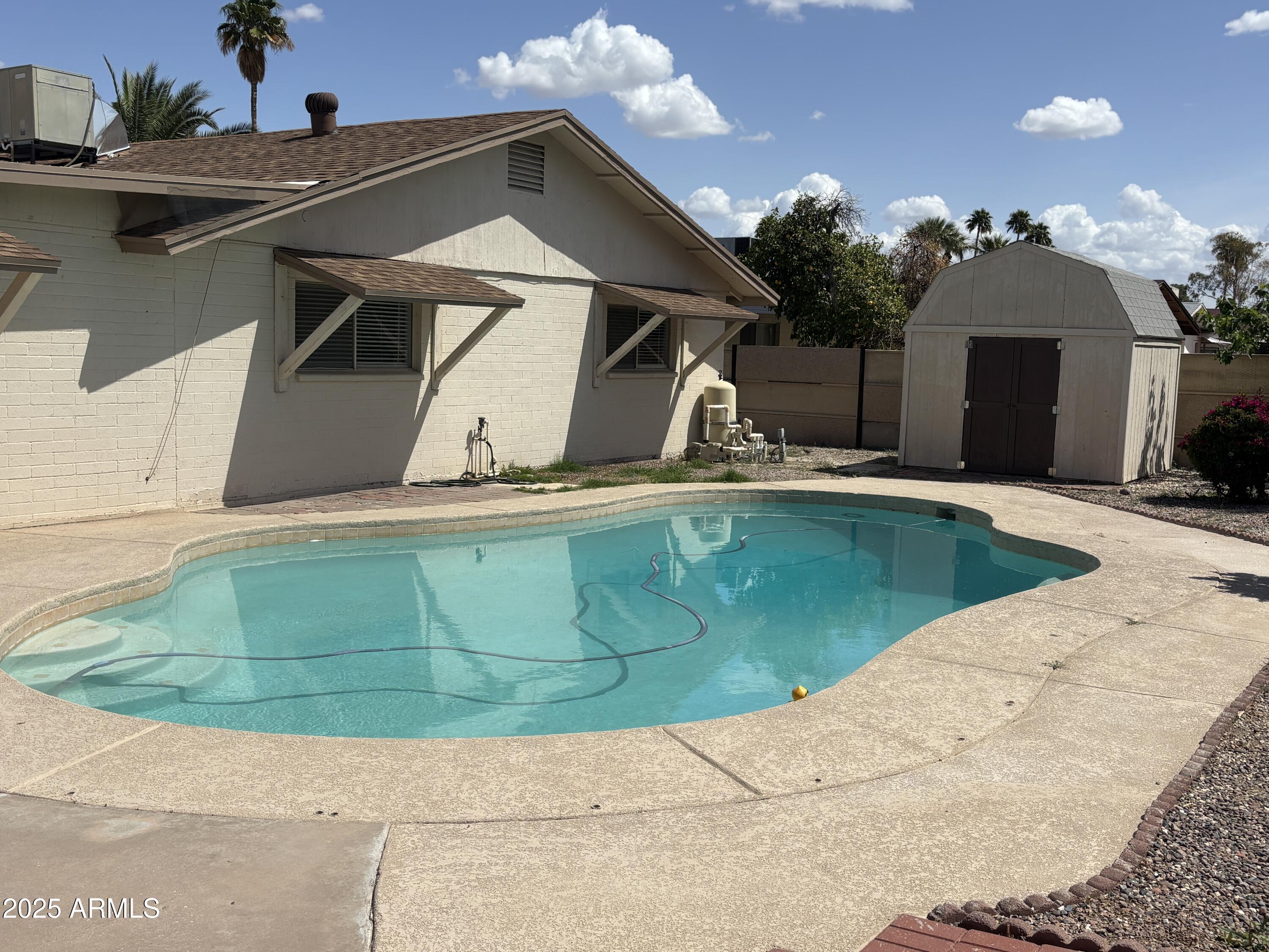 Photo #31