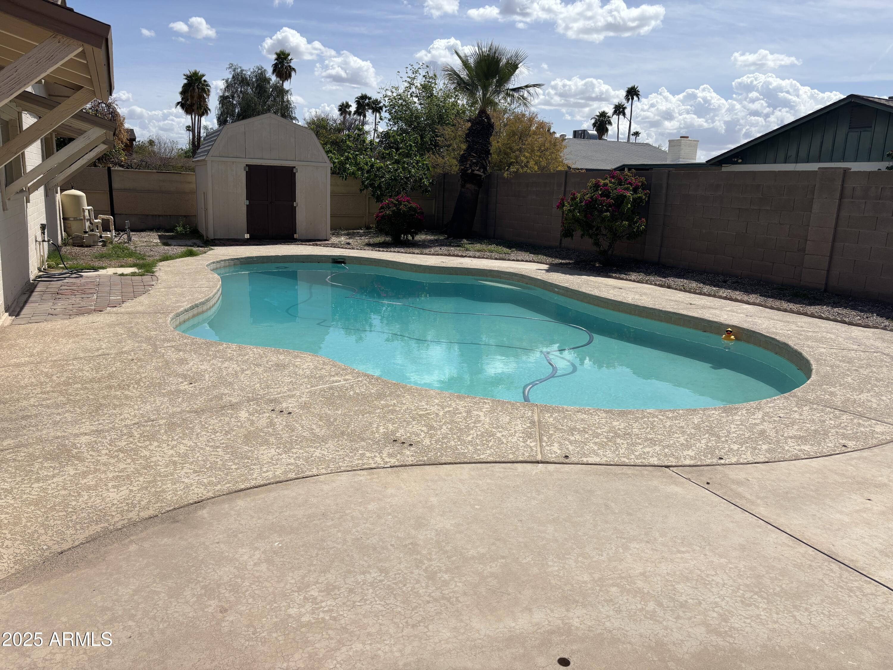 Photo #32