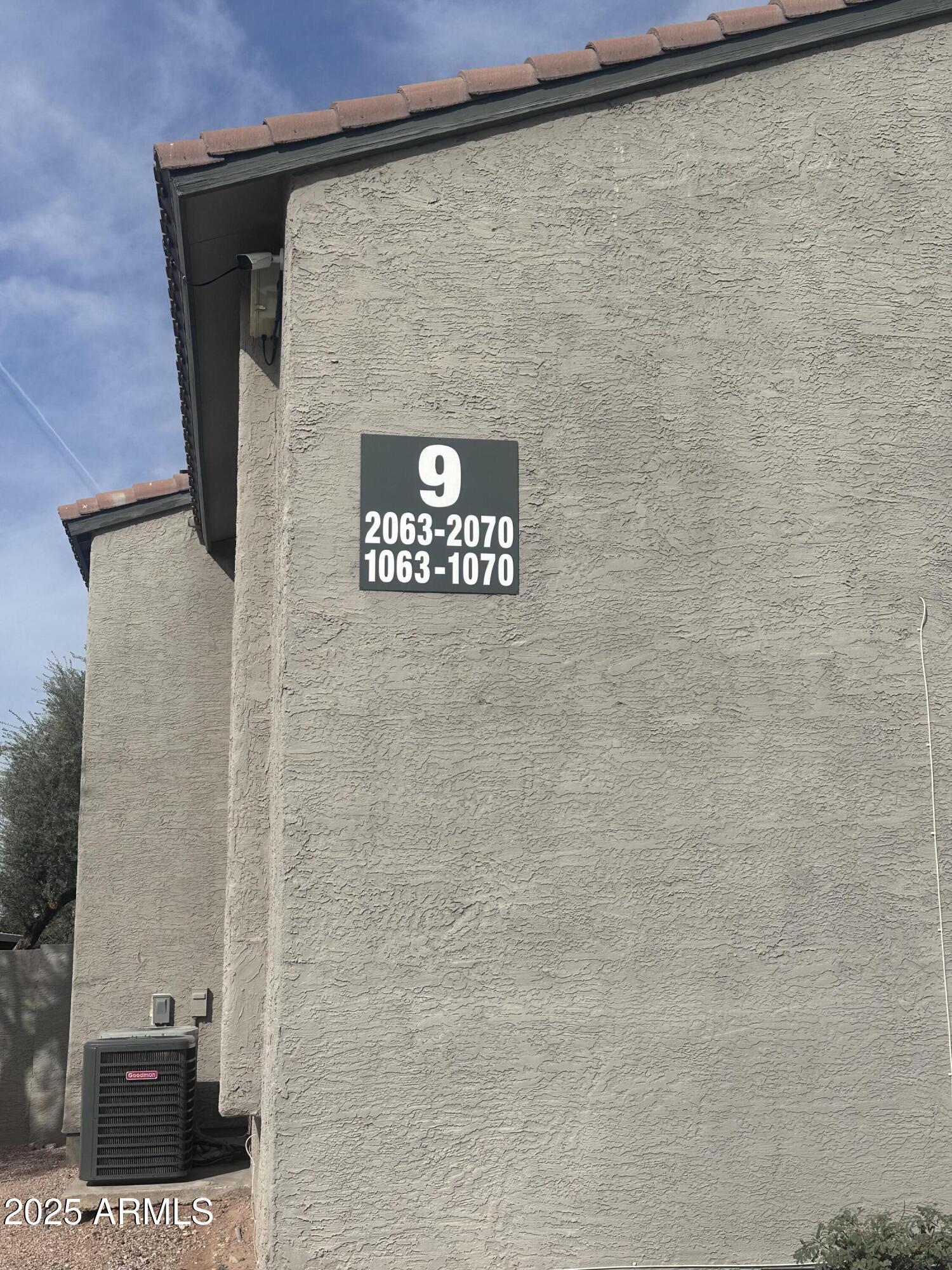 Photo #22