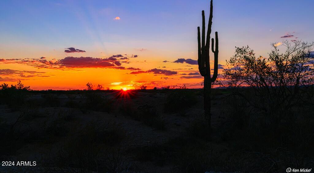 Photo #16