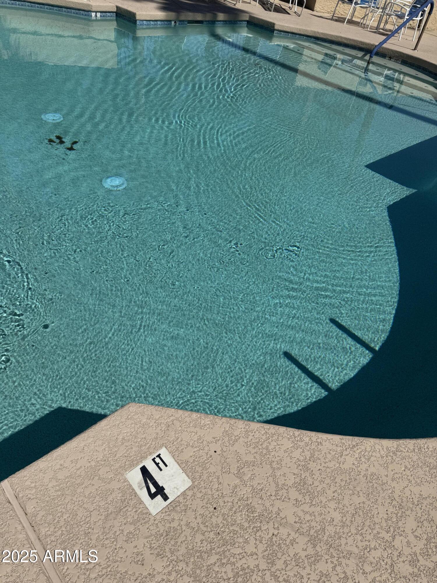 Photo #43
