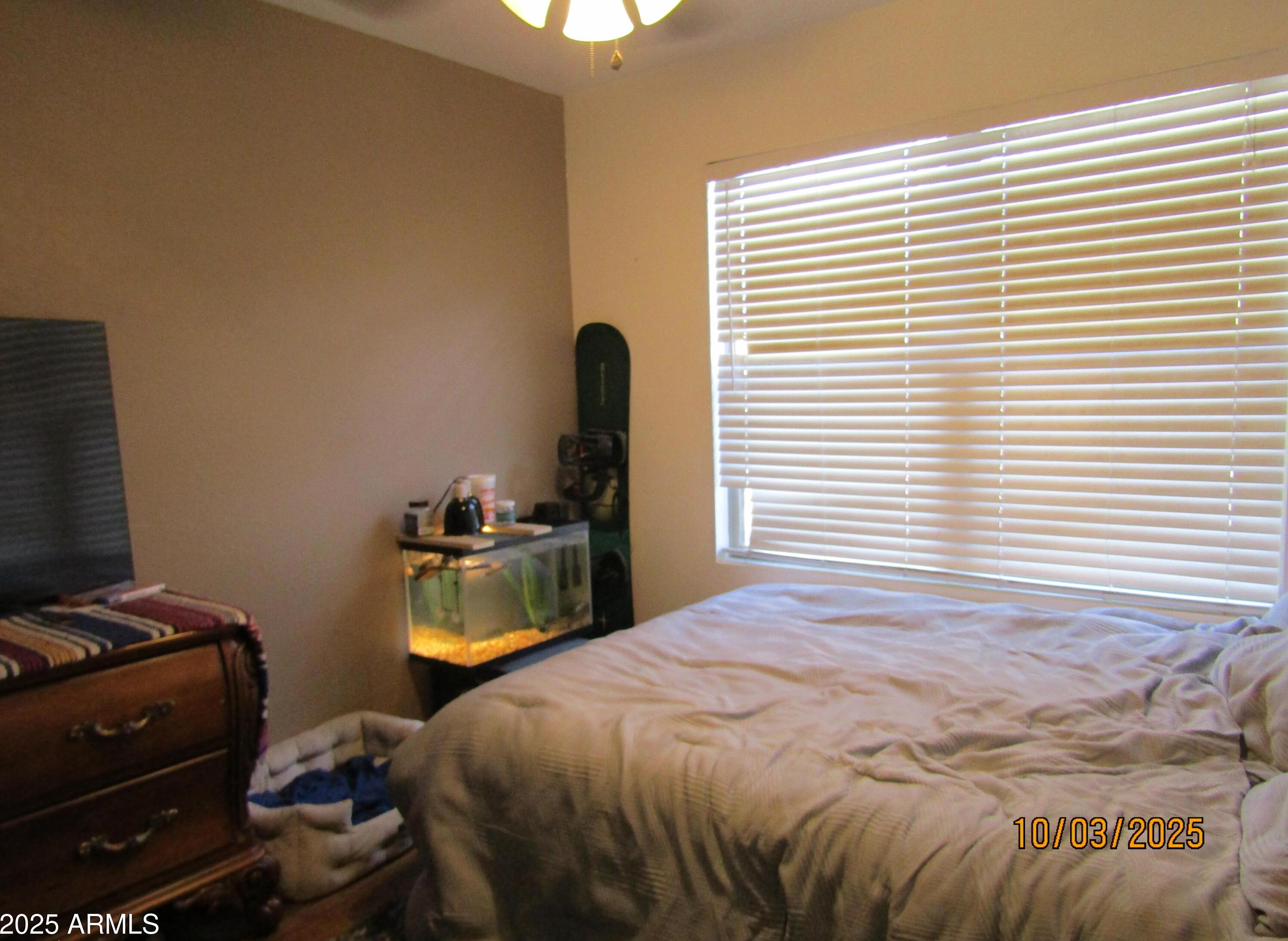 Photo #17