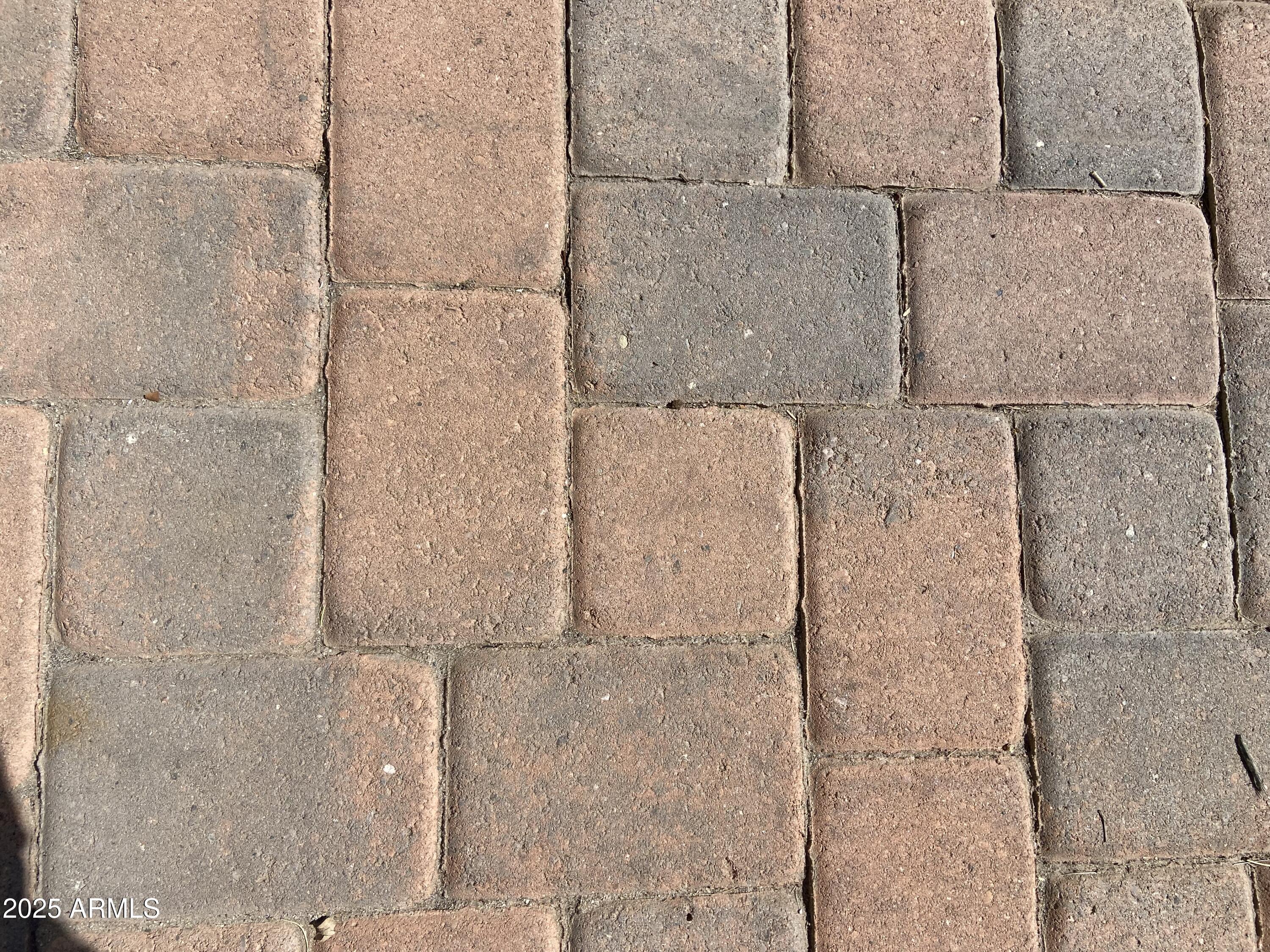 Photo #37