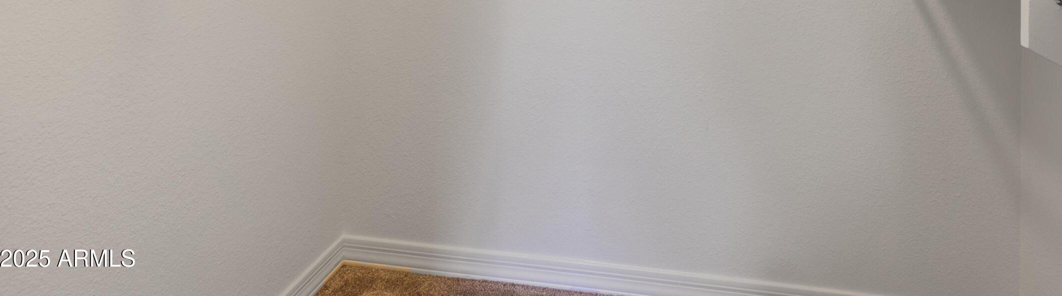 Photo #31
