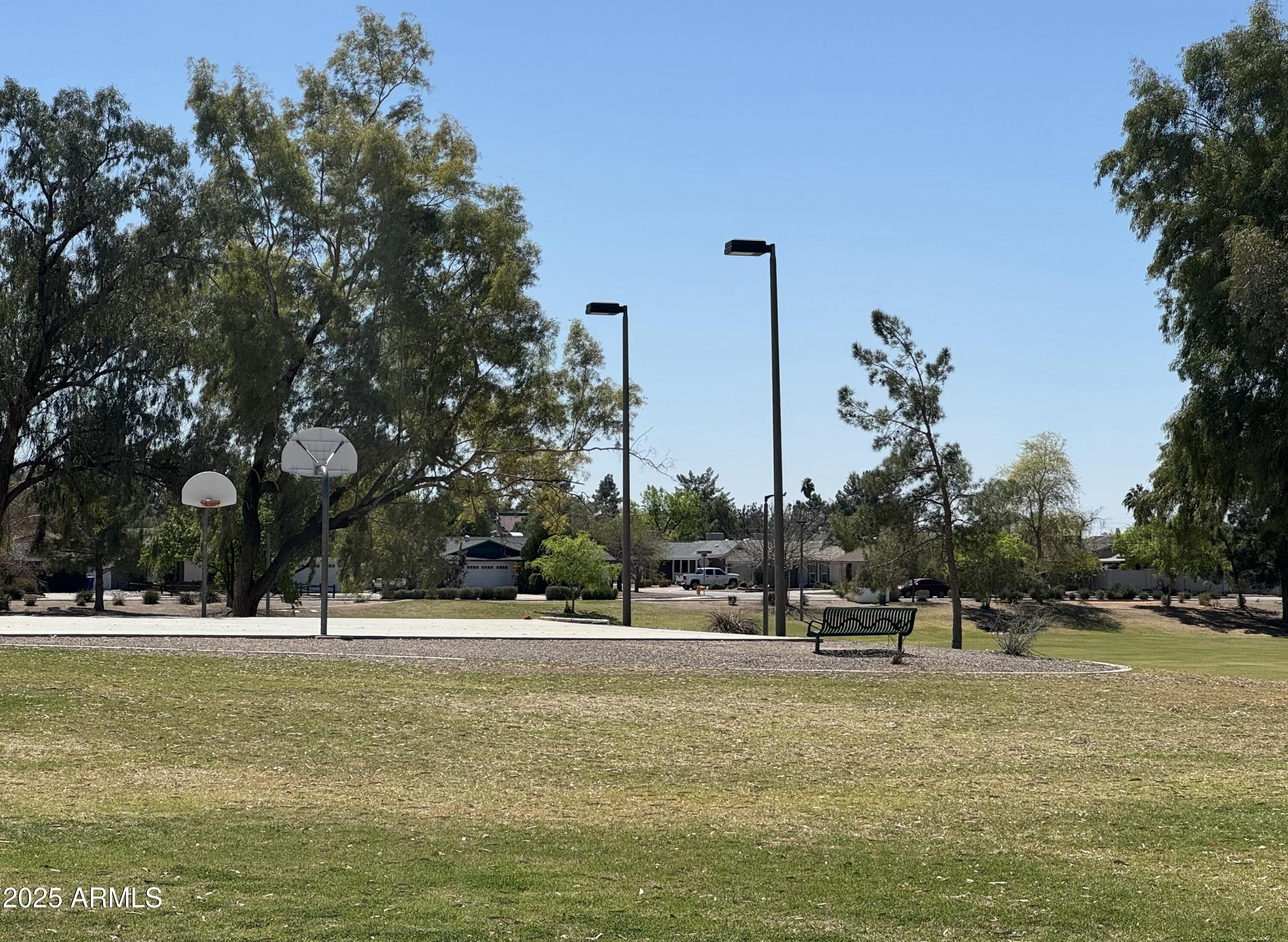 Photo #31