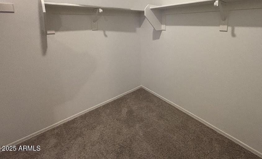 Photo #19