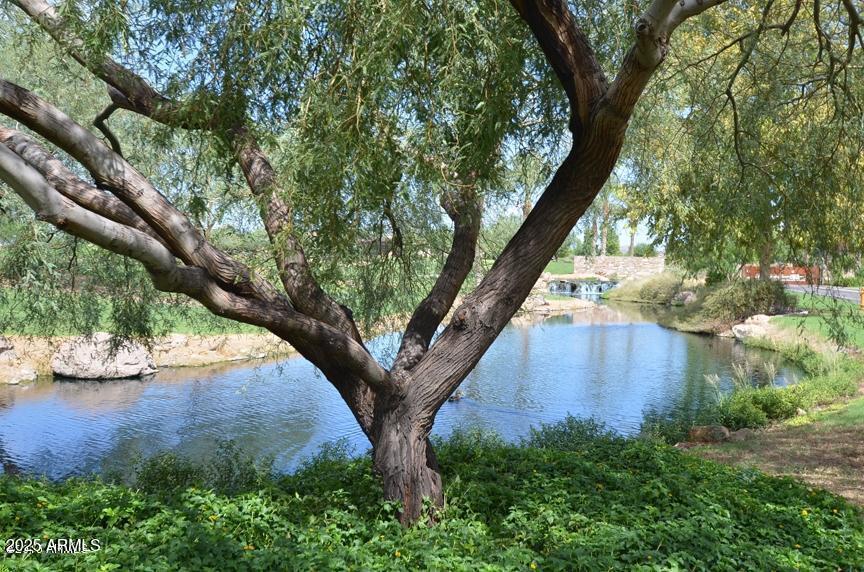 Photo #38