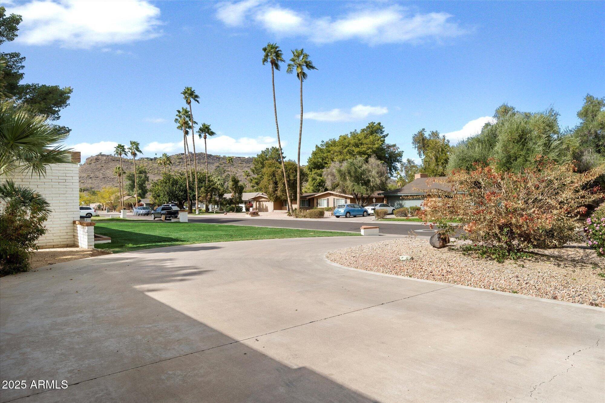 Photo #4