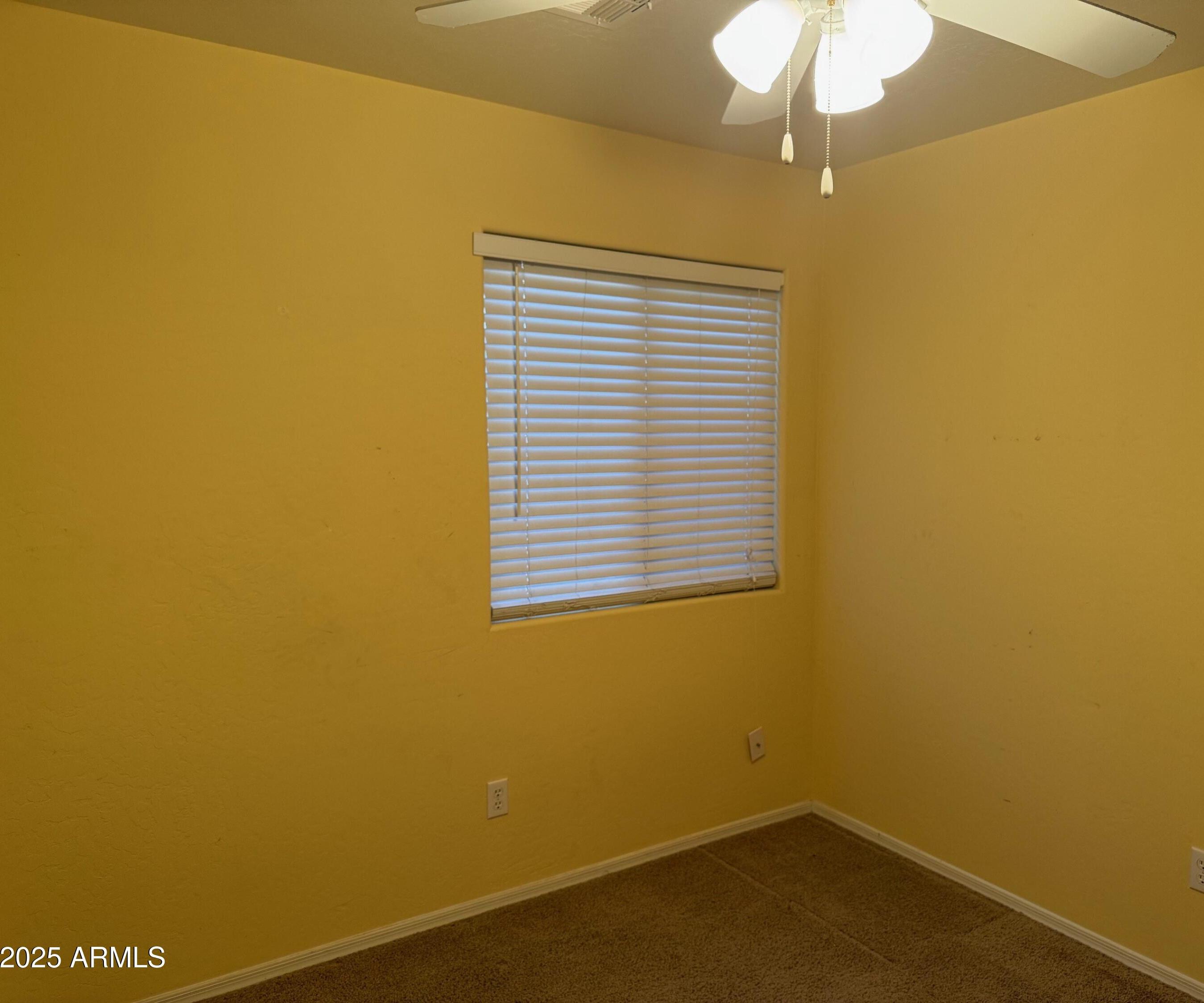 Photo #24