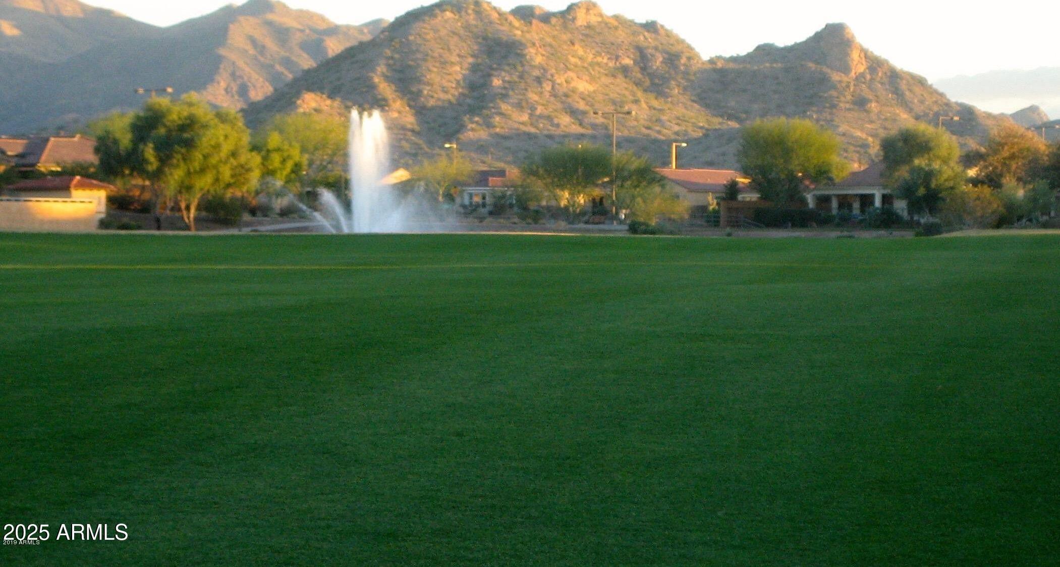 Photo #35