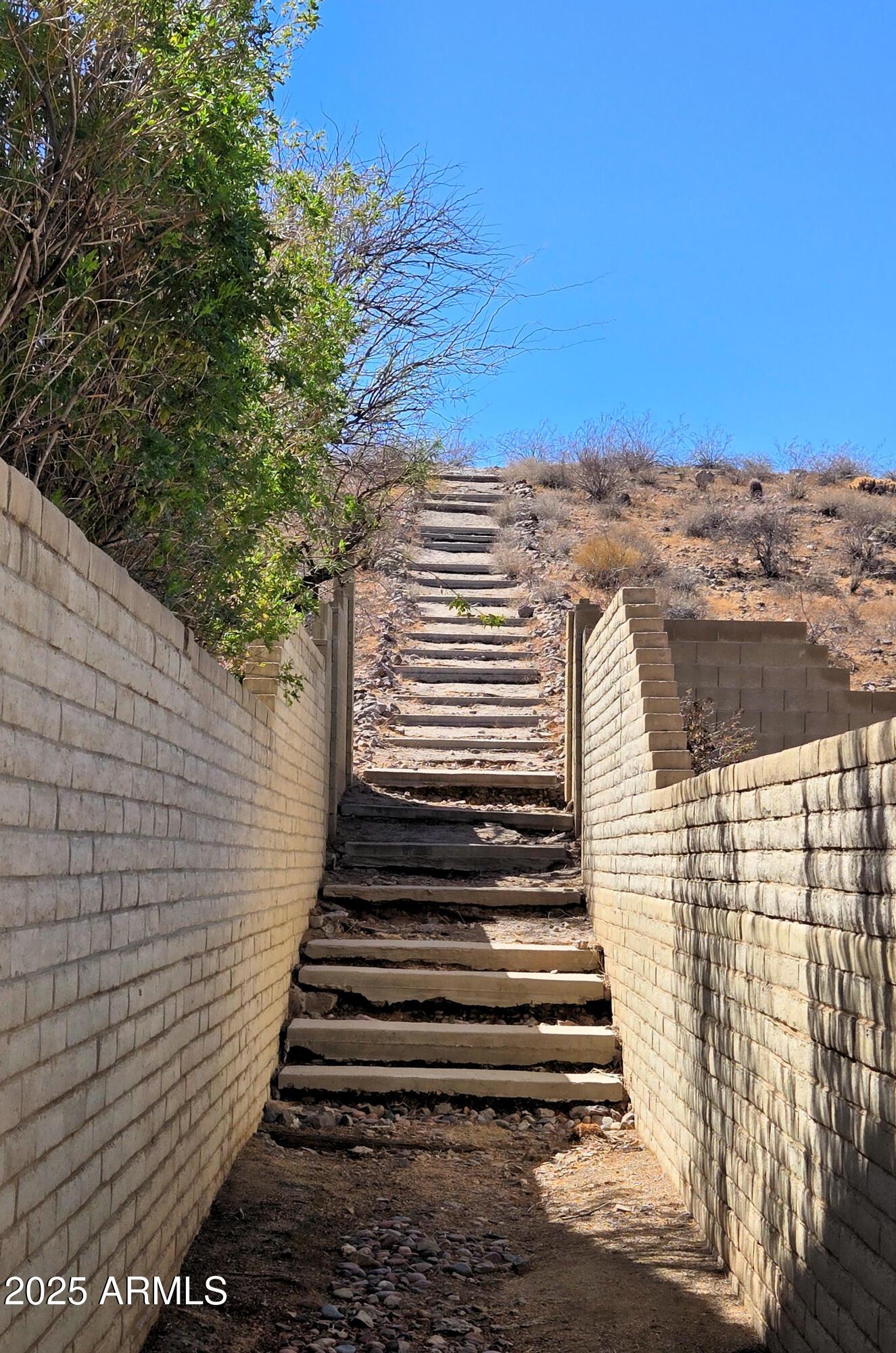 Photo #22